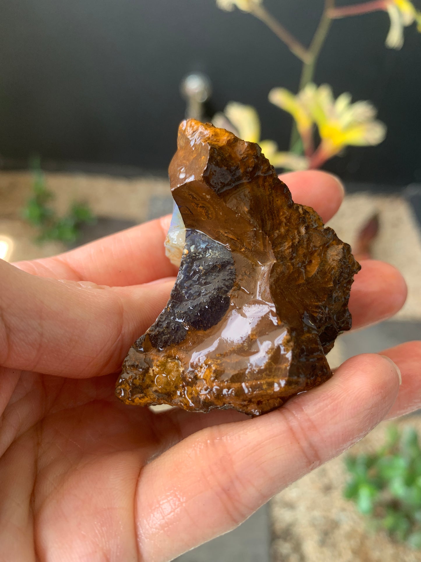 Plenty of Colour. Rough Boulder Opal. 110 Grams