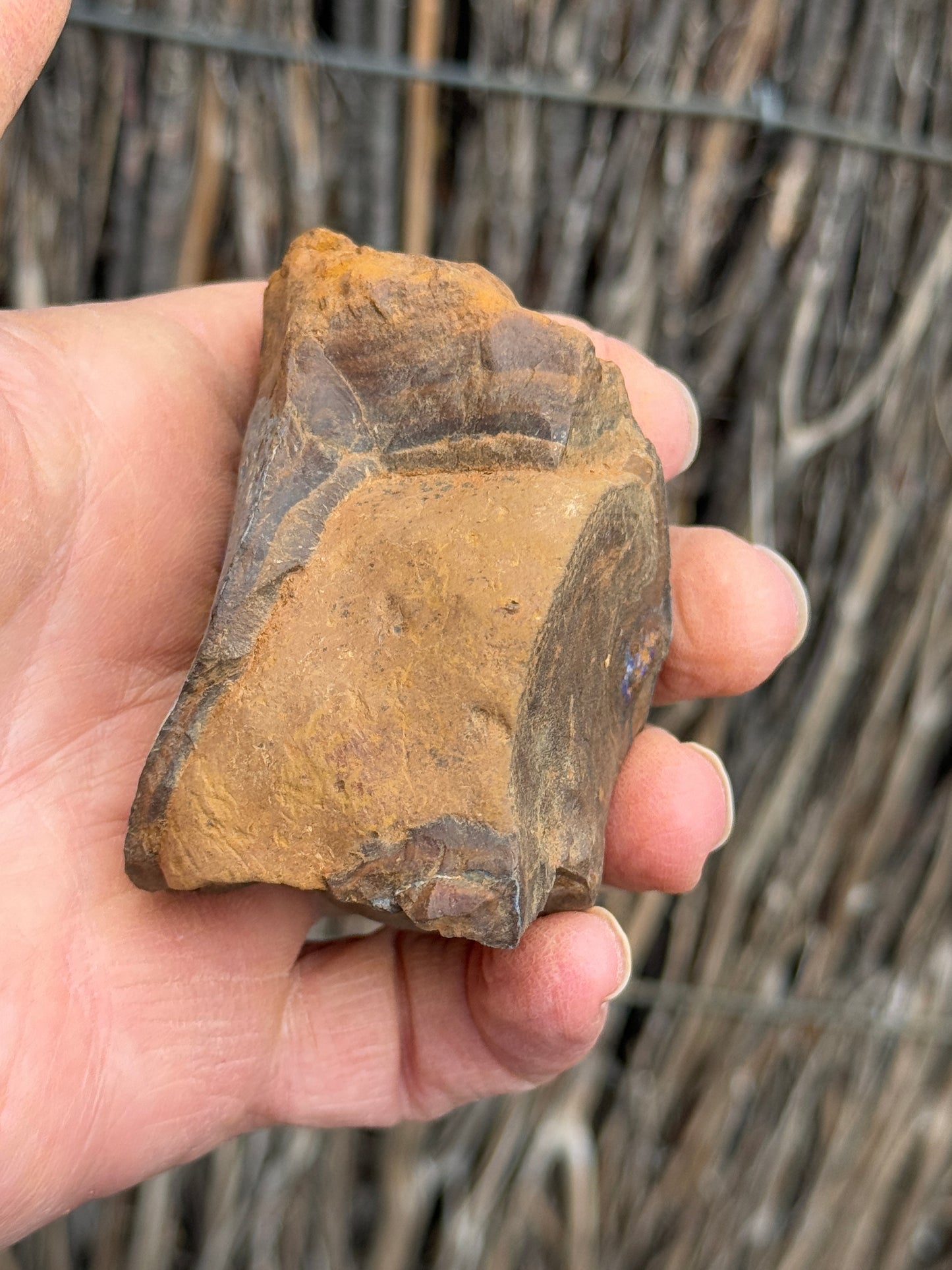 Glowing Double. Rough Boulder Opal Rock. 247 Grams