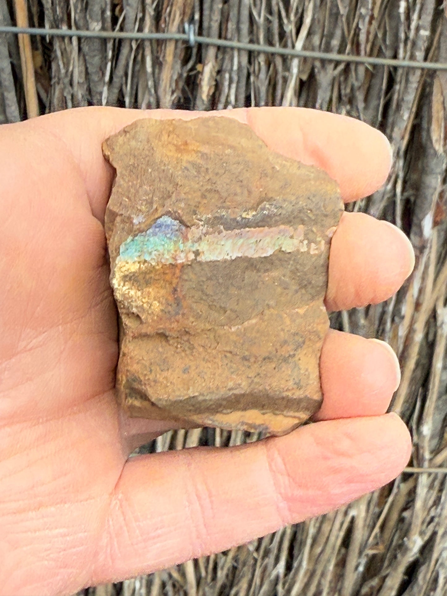 Rainbow Streak. Rough Boulder Opal Rock. 88 Grams