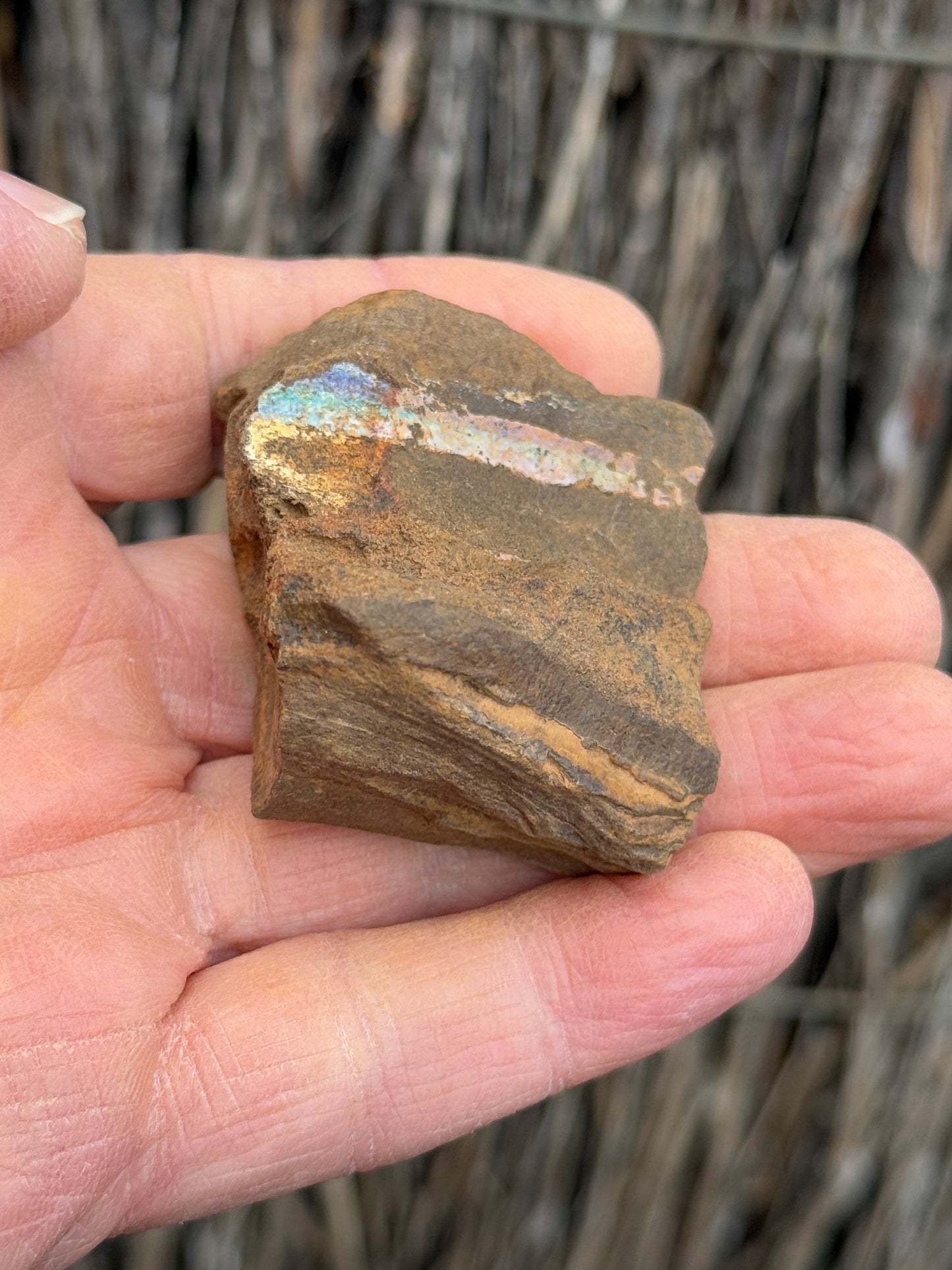Rainbow Streak. Rough Boulder Opal Rock. 88 Grams