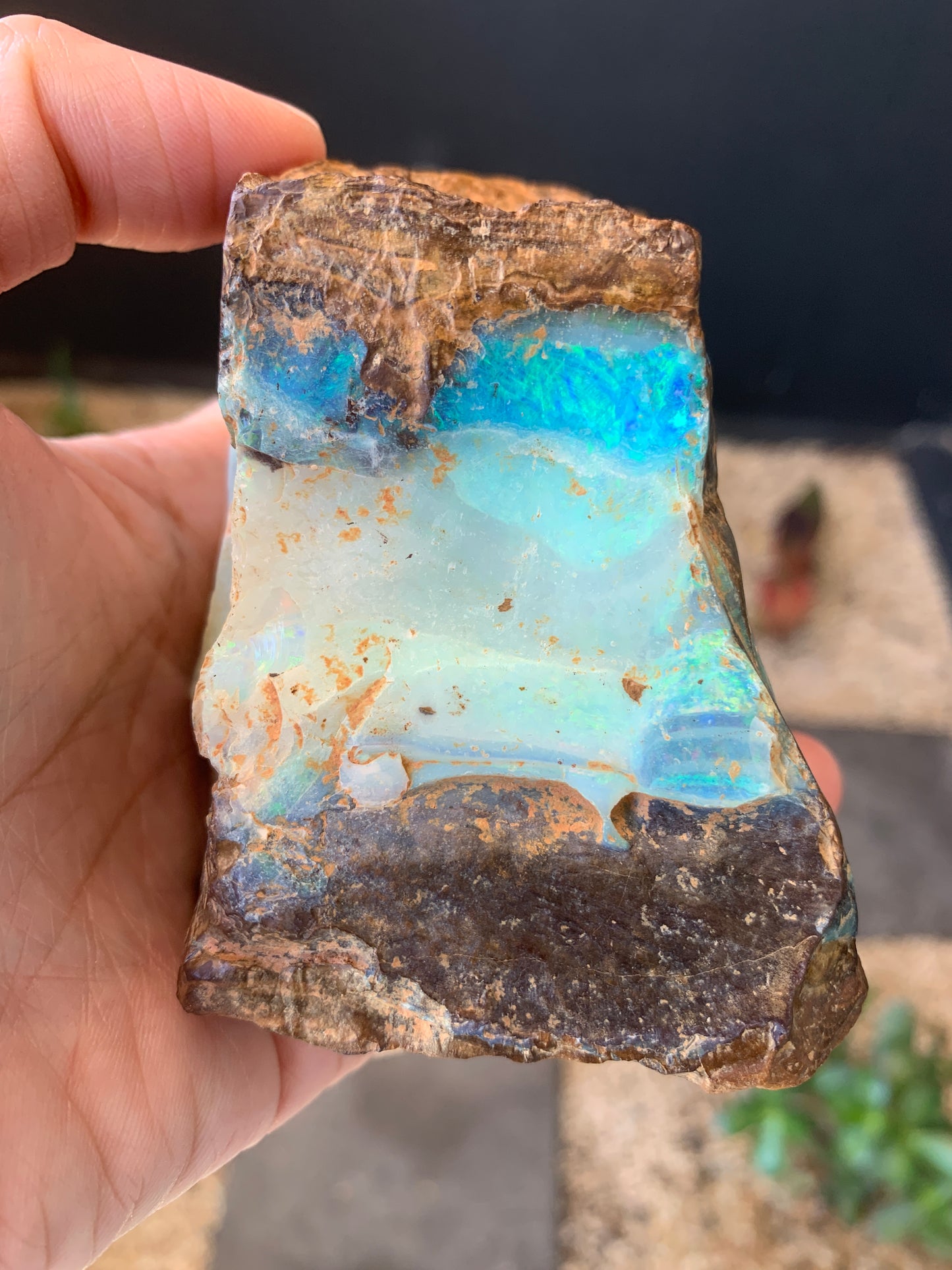 Gemstone Brilliance. Rough Boulder Opal Rock. 600 Grams