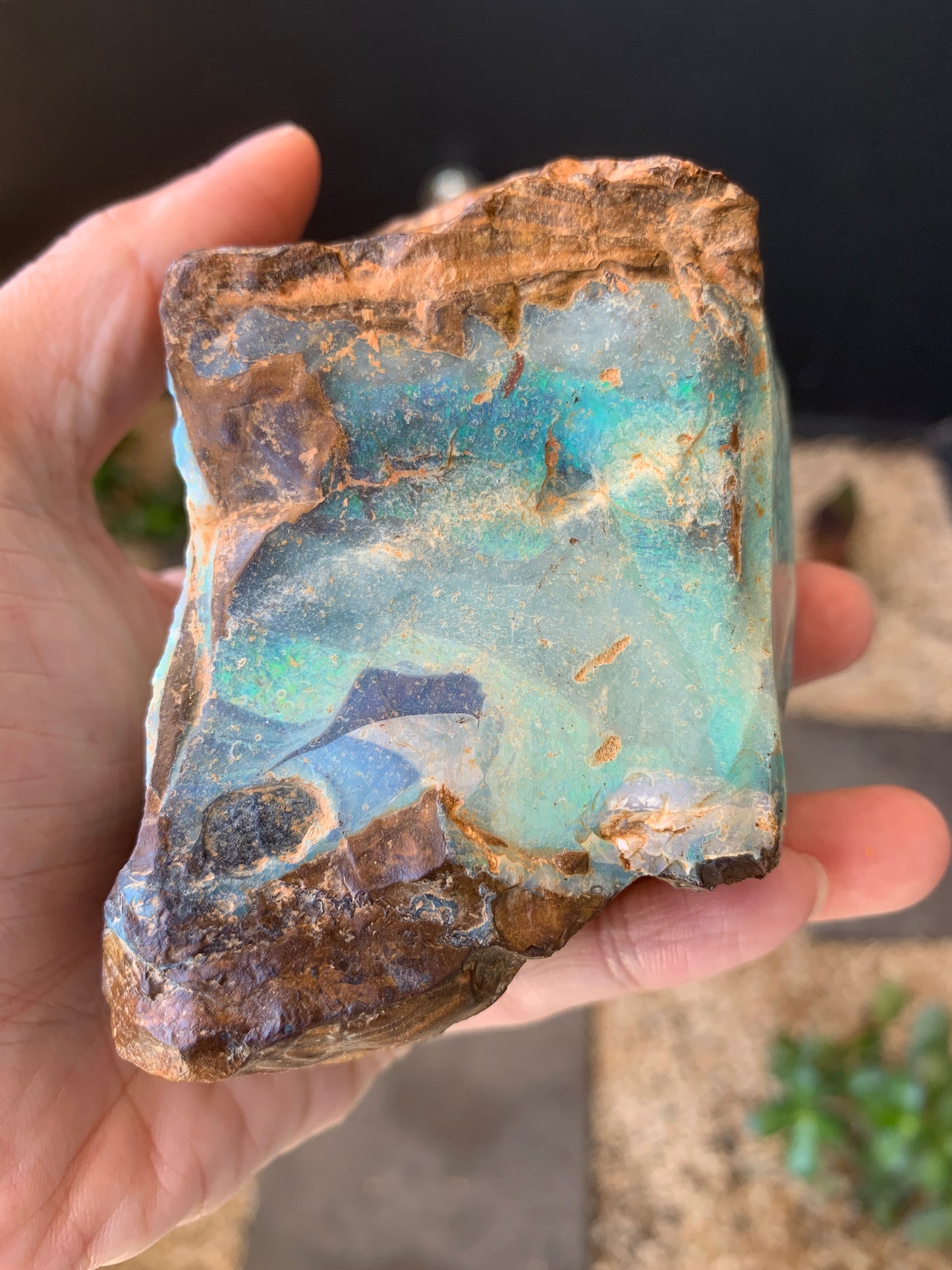 Gemstone Brilliance. Rough Boulder Opal Rock. 600 Grams