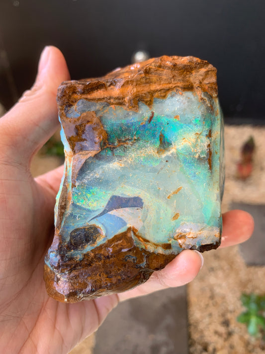 Gemstone Brilliance. Rough Boulder Opal Rock. 600 Grams