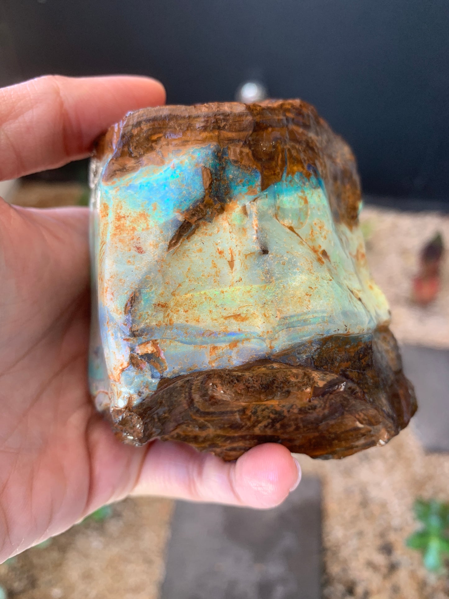 Gemstone Brilliance. Rough Boulder Opal Rock. 600 Grams
