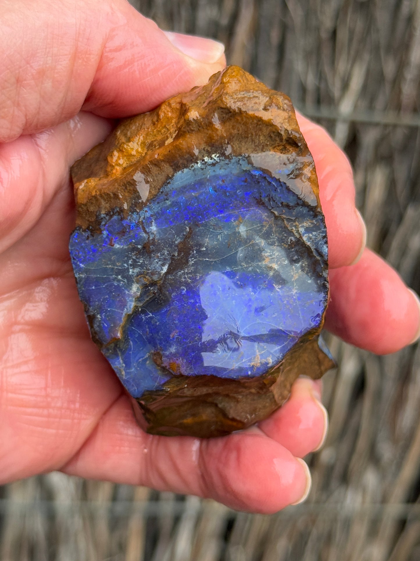 Glowing Double. Rough Boulder Opal Rock. 247 Grams
