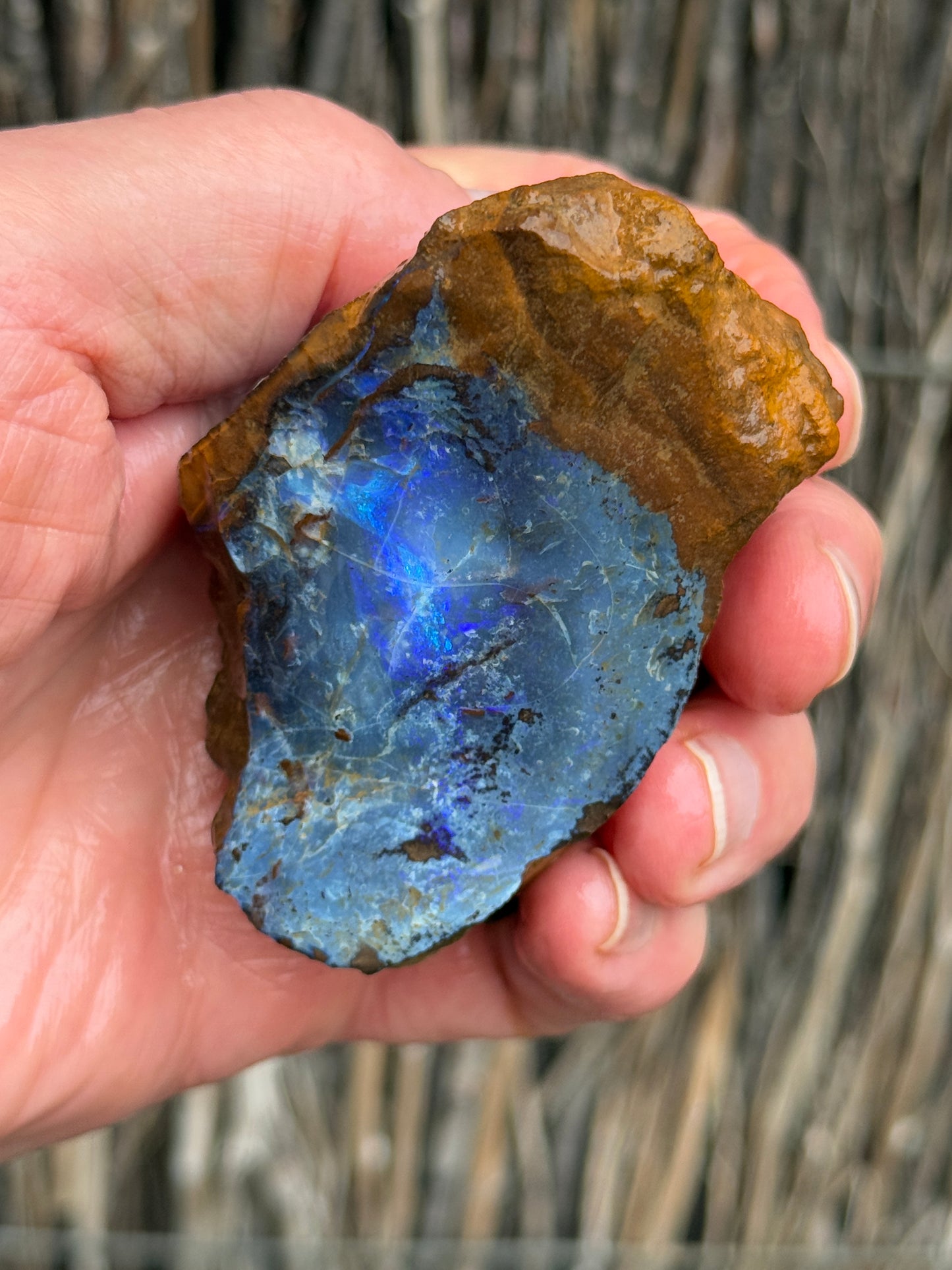 Glowing Double. Rough Boulder Opal Rock. 247 Grams