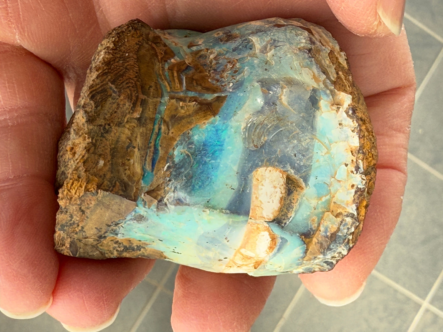 Gemstone Prize. Rough Boulder Opal Rock. 231 Grams