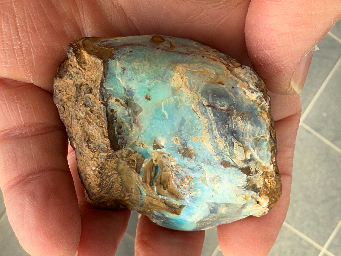 Gemstone Prize. Rough Boulder Opal Rock. 231 Grams