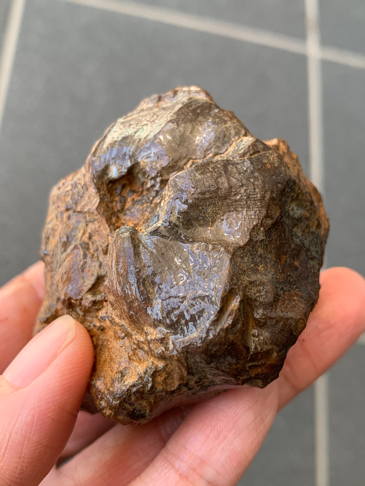 High Density Starter Rock. Rough Boulder Opal Rock. 150 Grams