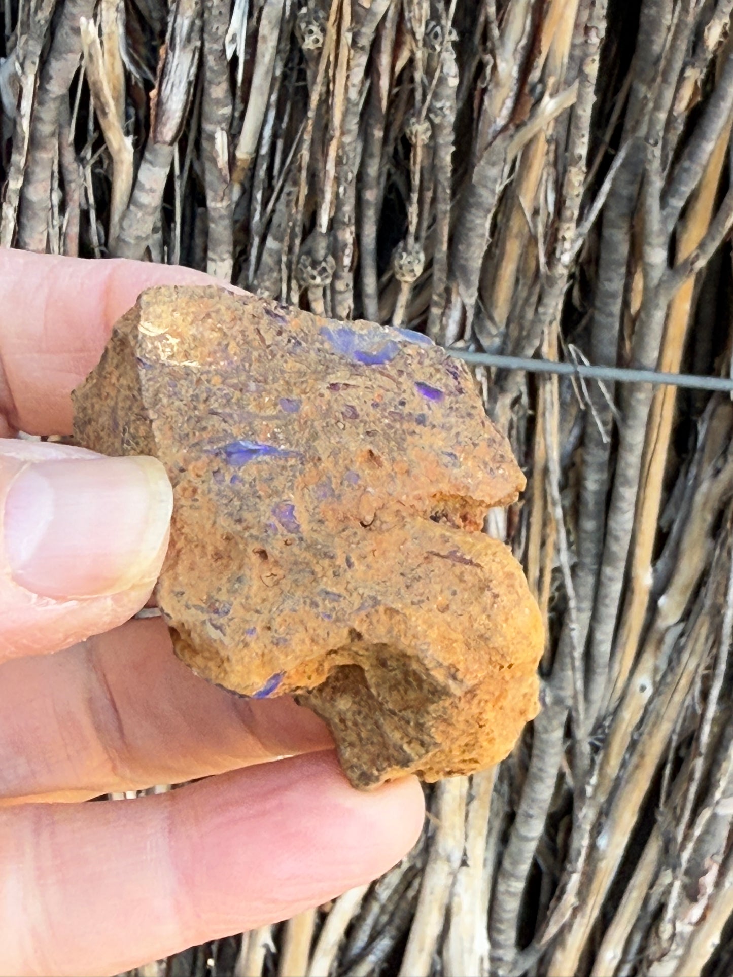 Super Stud. Rough Boulder Opal Rock. 79 Grams