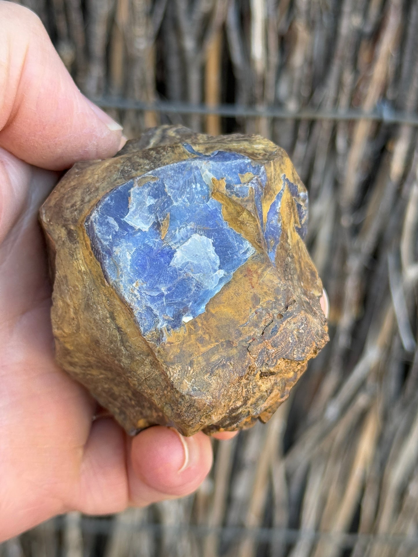 Opal All-Rounder. Rough Boulder Opal Rock. 281 Grams