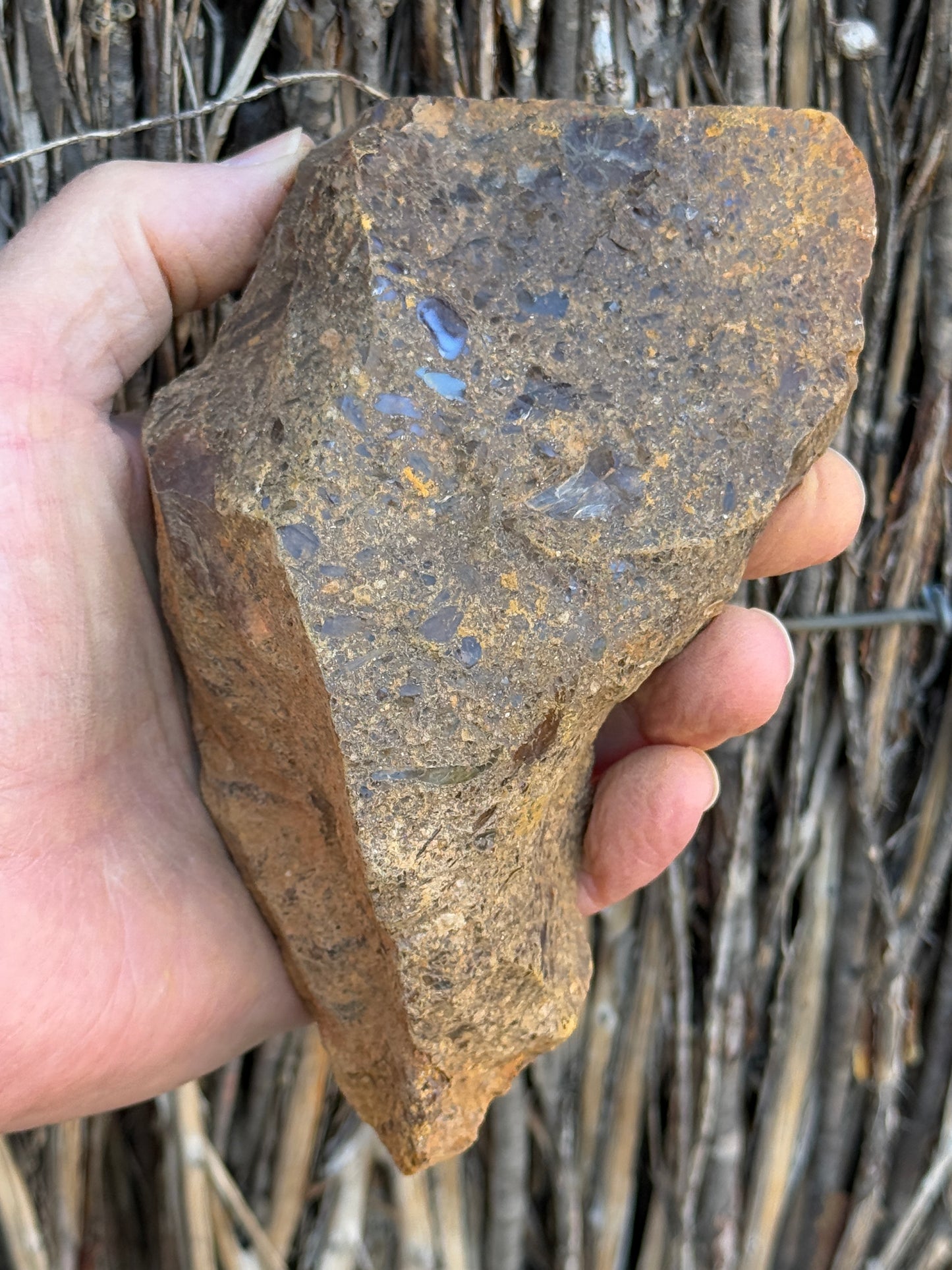Studded Crystals. Rough Boulder Opal Rock. 617 Grams