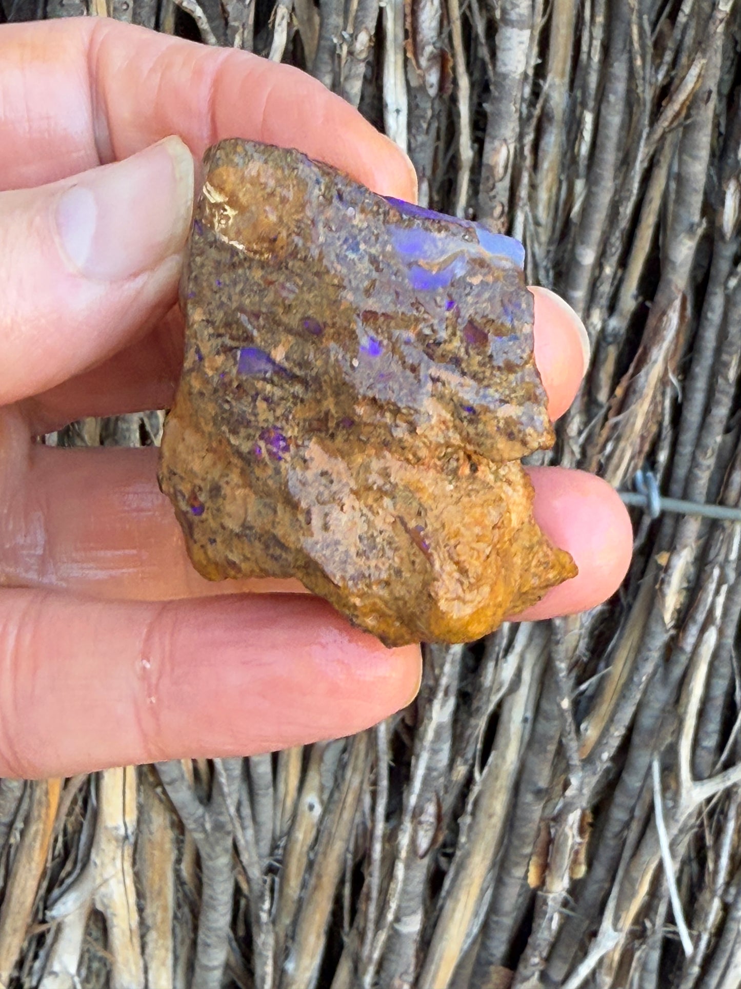 Super Stud. Rough Boulder Opal Rock. 79 Grams