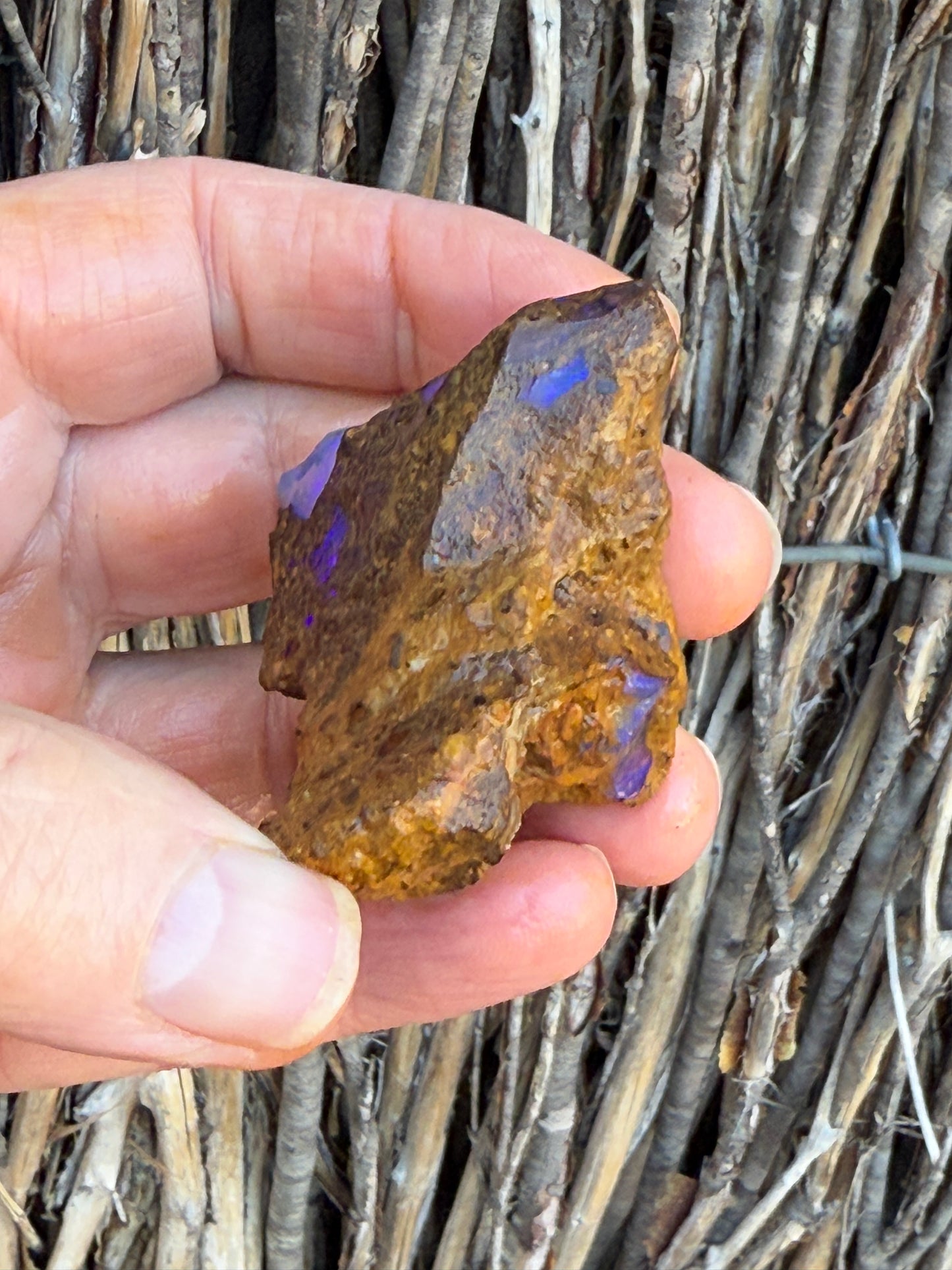 Super Stud. Rough Boulder Opal Rock. 79 Grams