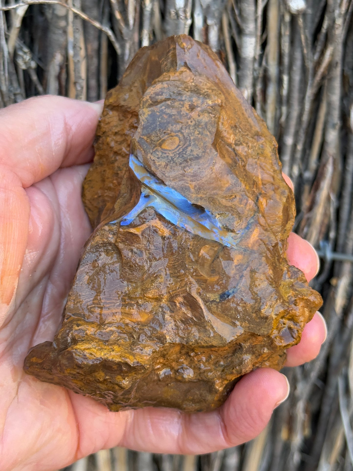 Double Seams. Rough Boulder Opal Rock. 526 Grams