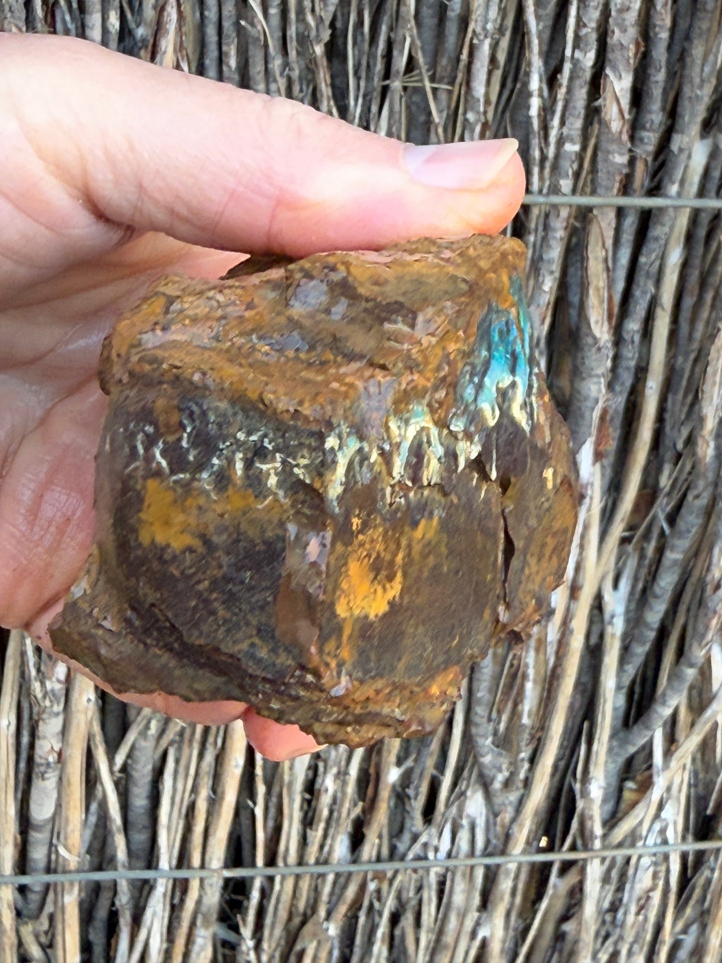 Green Waves. Rough Boulder Opal Rock. 589 Grams