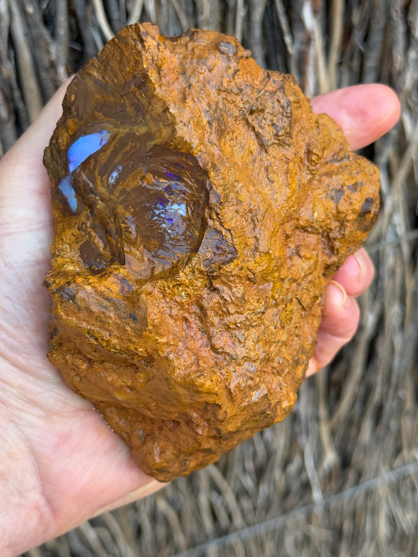 Piping Blue. Rough Boulder Opal Rock. 834 Grams