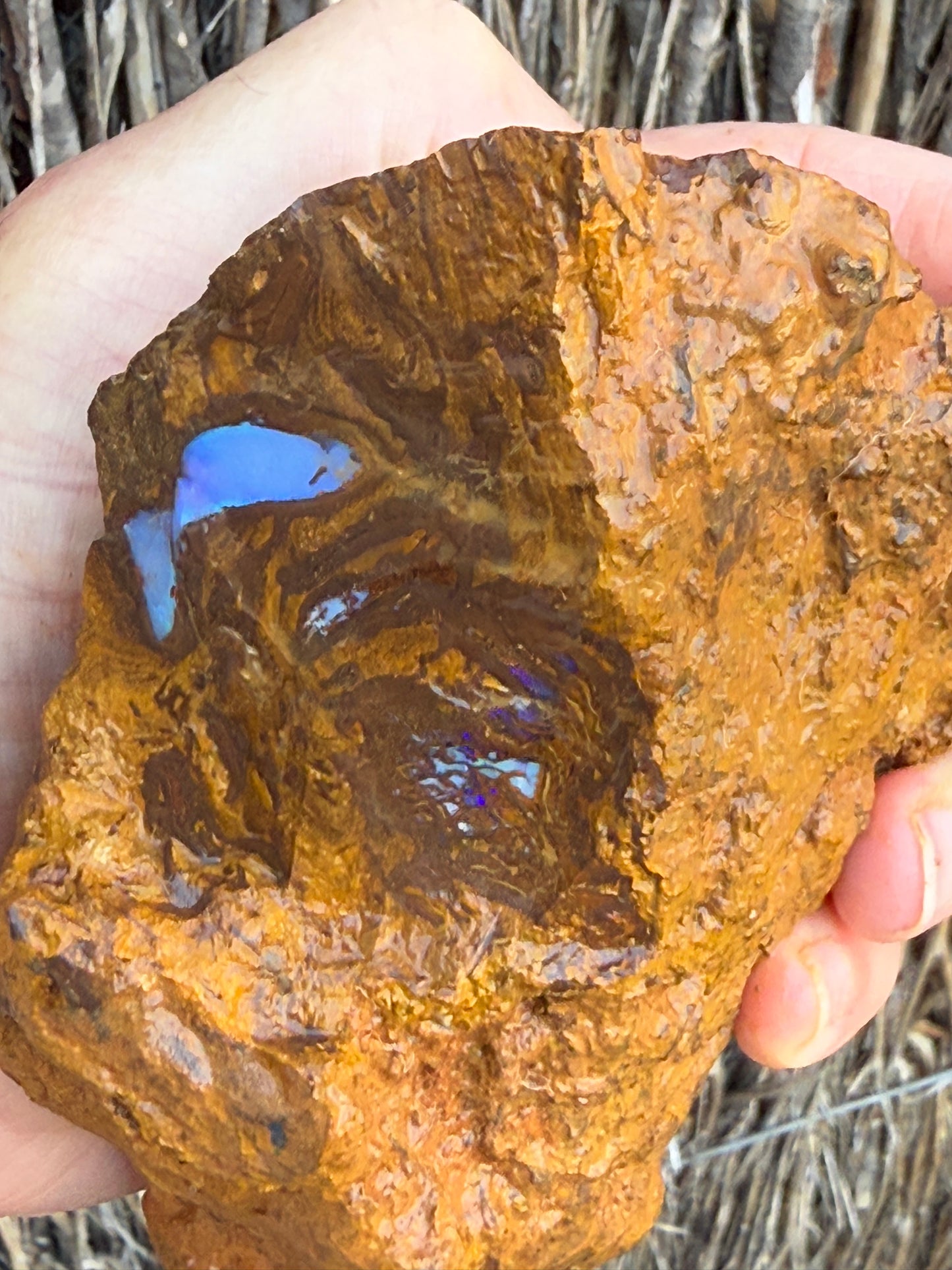 Piping Blue. Rough Boulder Opal Rock. 834 Grams