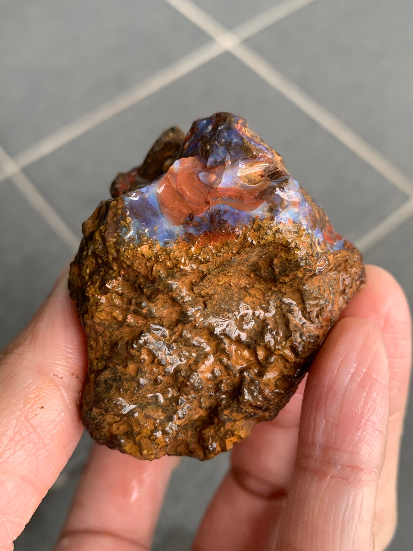 Bonus Rock + Starter Rocks. Rough Boulder Opal. 380 Grams.