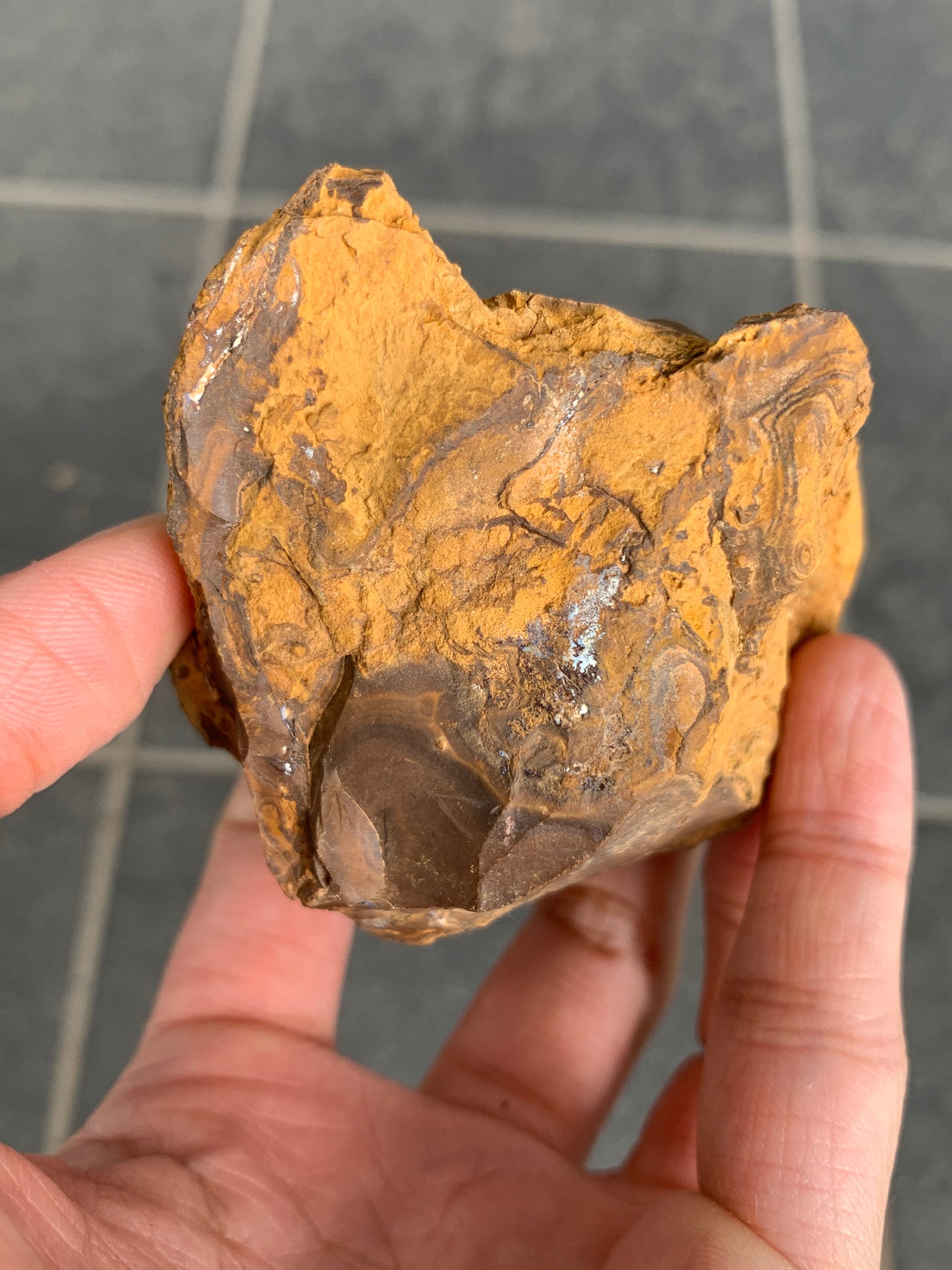 Bonus Rock + Purple Rocks. Rough Boulder Opal. 479 Grams.