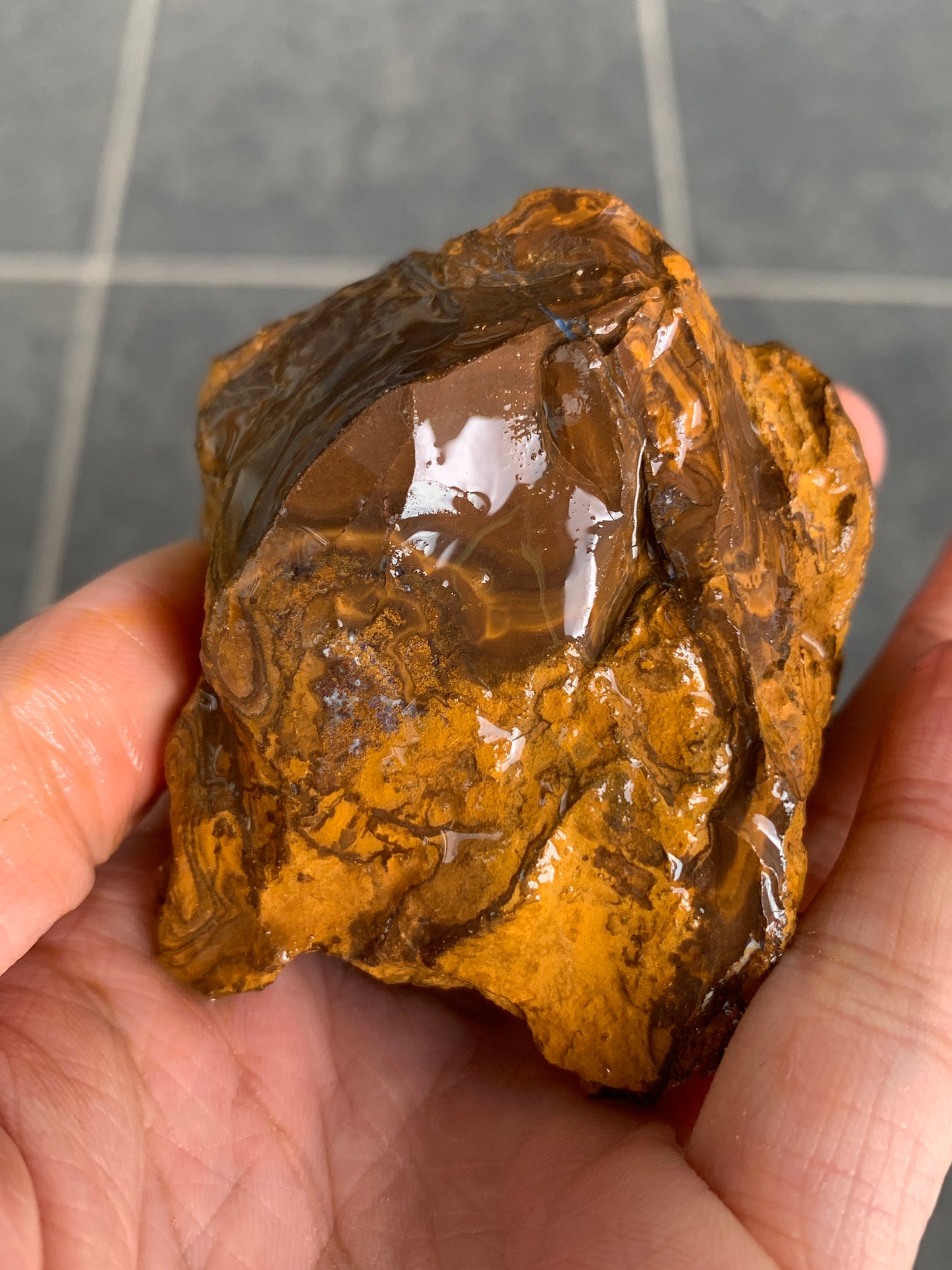 Bonus Rock + Purple Rocks. Rough Boulder Opal. 479 Grams.