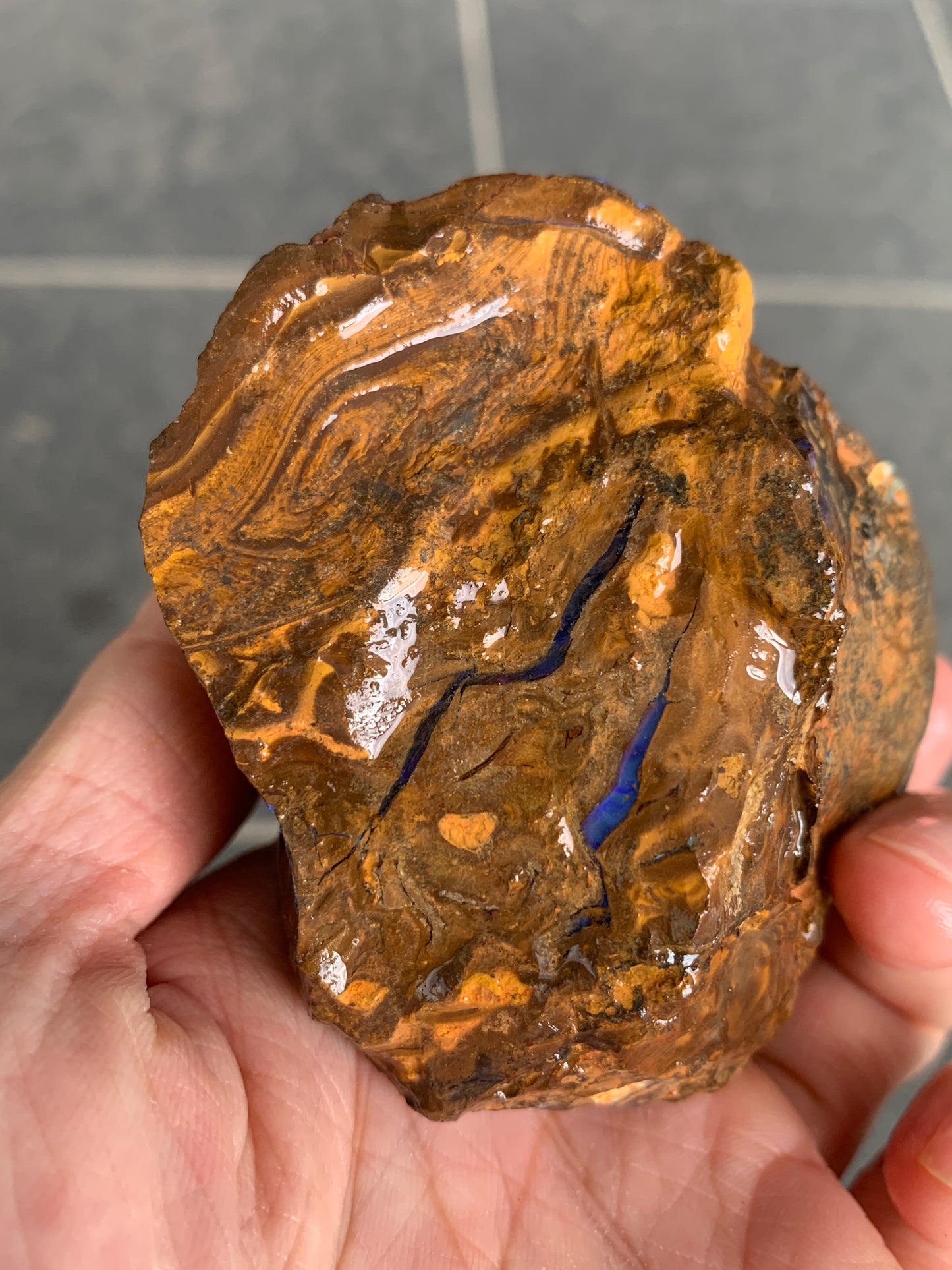 Bonus Rock + Purple Rocks. Rough Boulder Opal. 479 Grams.