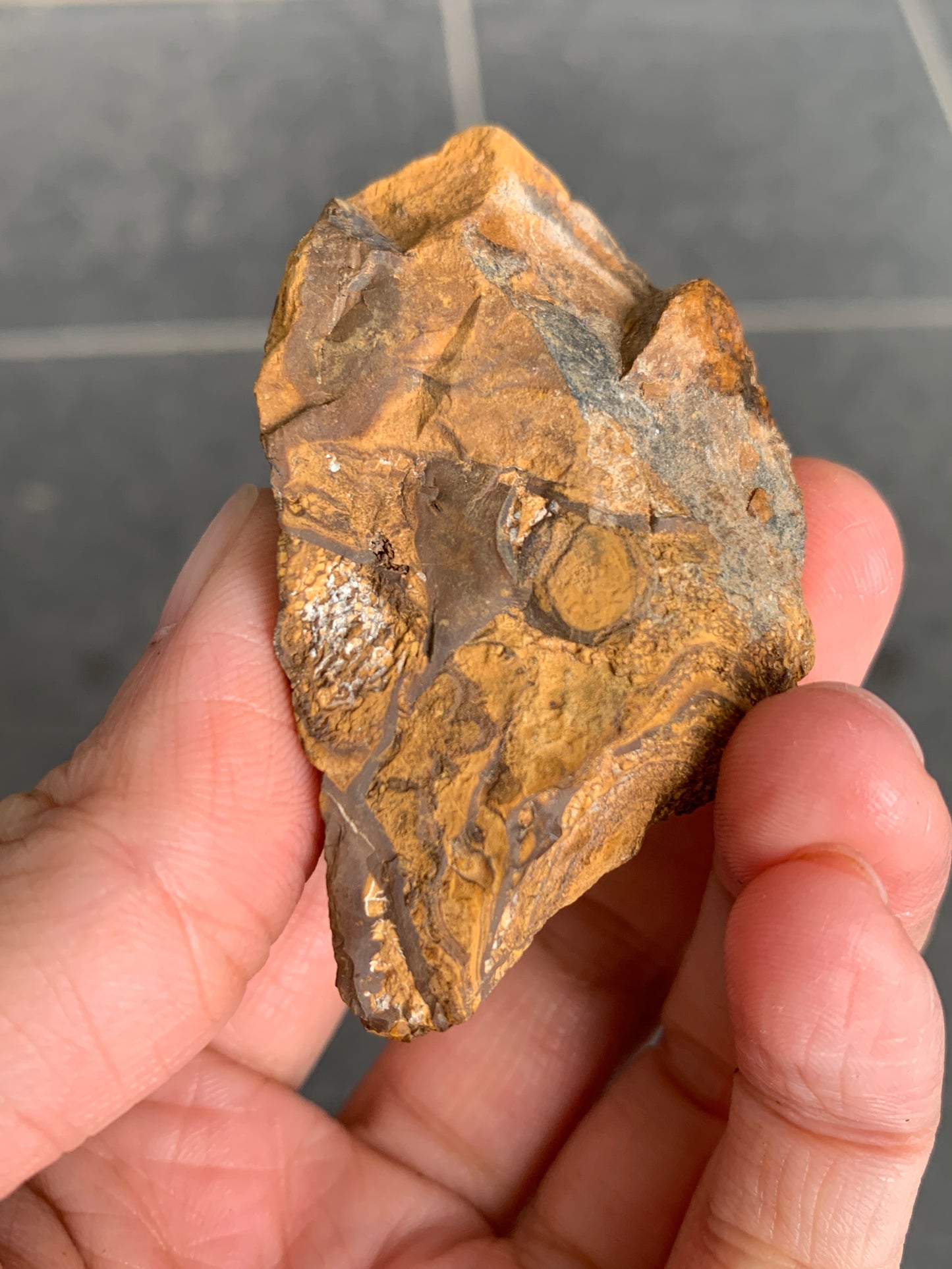 Bonus Rock + Purple Rocks. Rough Boulder Opal. 479 Grams.