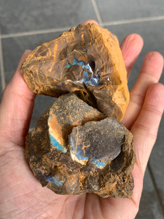Green Rewards. Rough Boulder Opal Set of Two. 340 Grams.