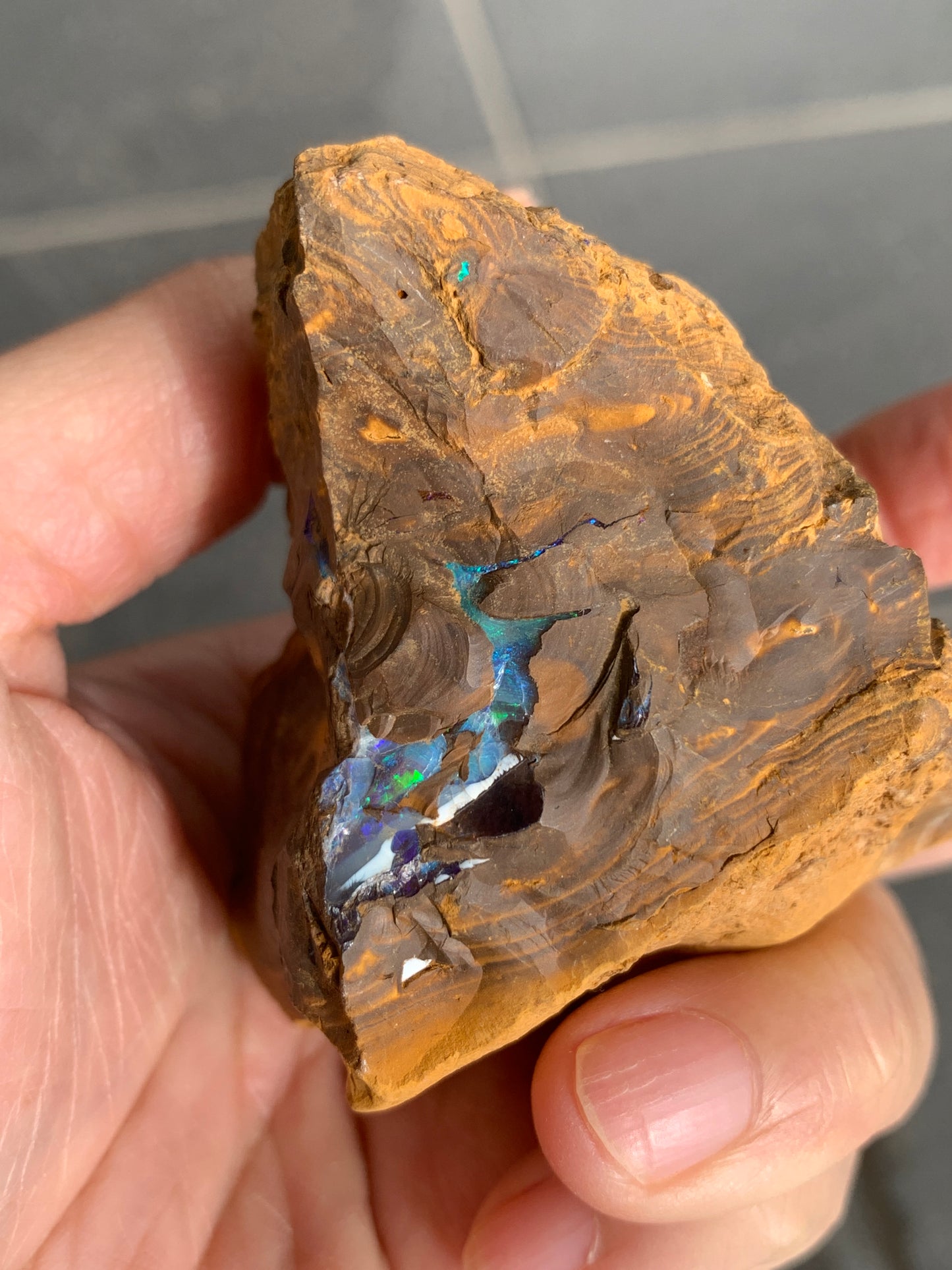 Green Rewards. Rough Boulder Opal Set of Two. 340 Grams.