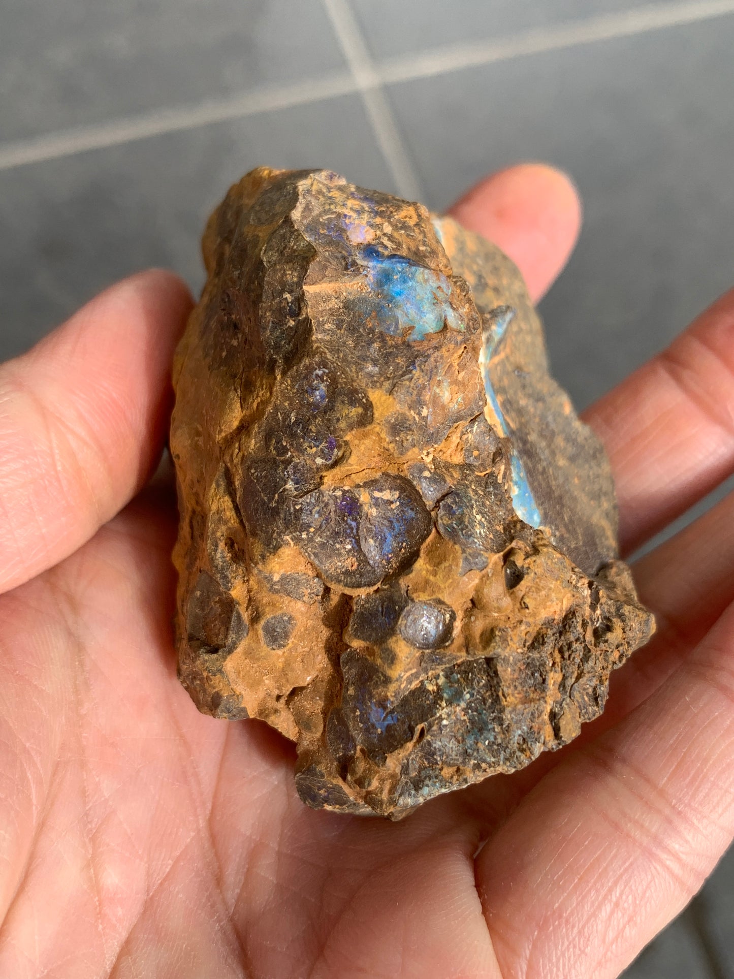 Green Rewards. Rough Boulder Opal Set of Two. 340 Grams.