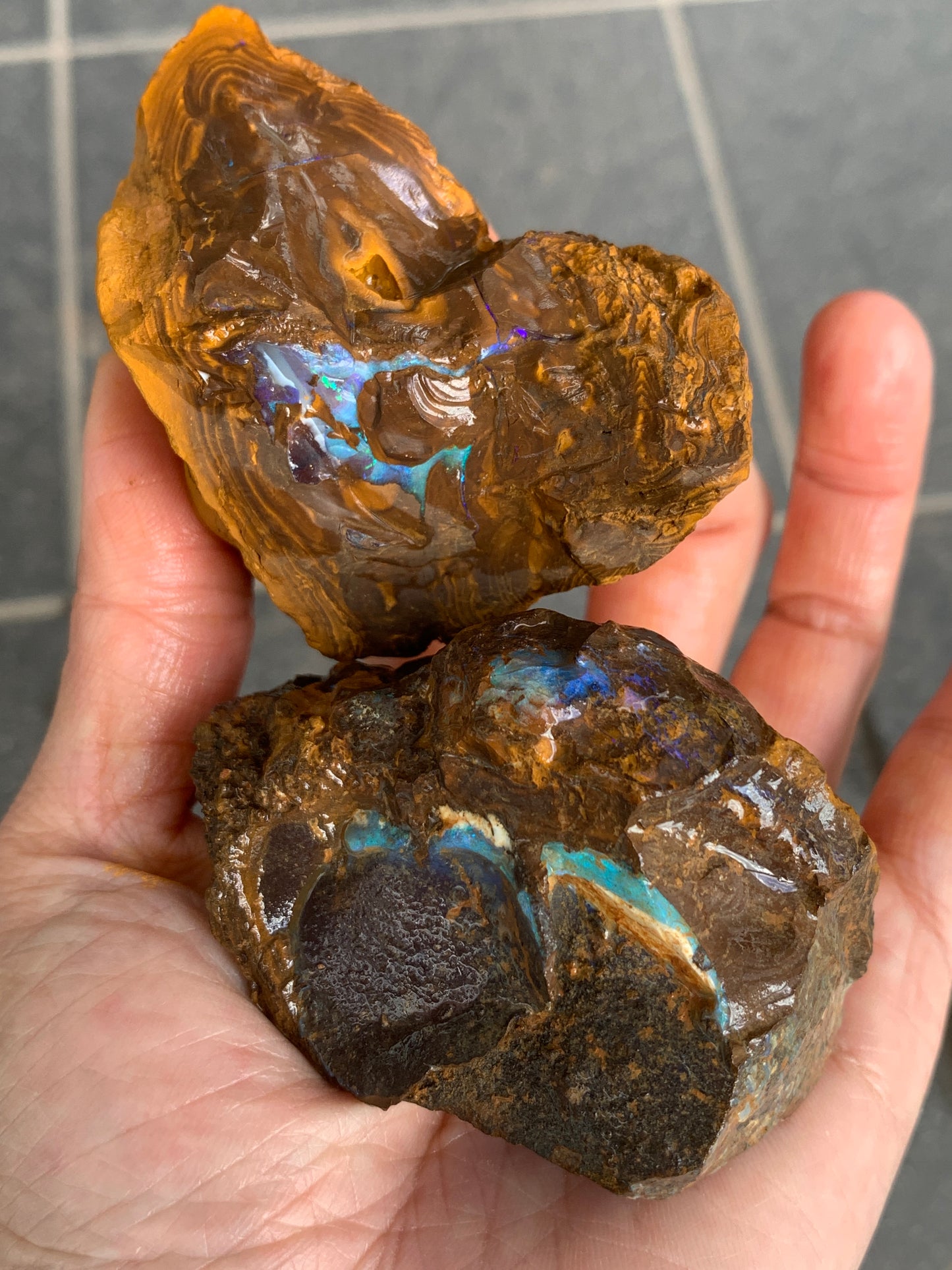 Green Rewards. Rough Boulder Opal Set of Two. 340 Grams.