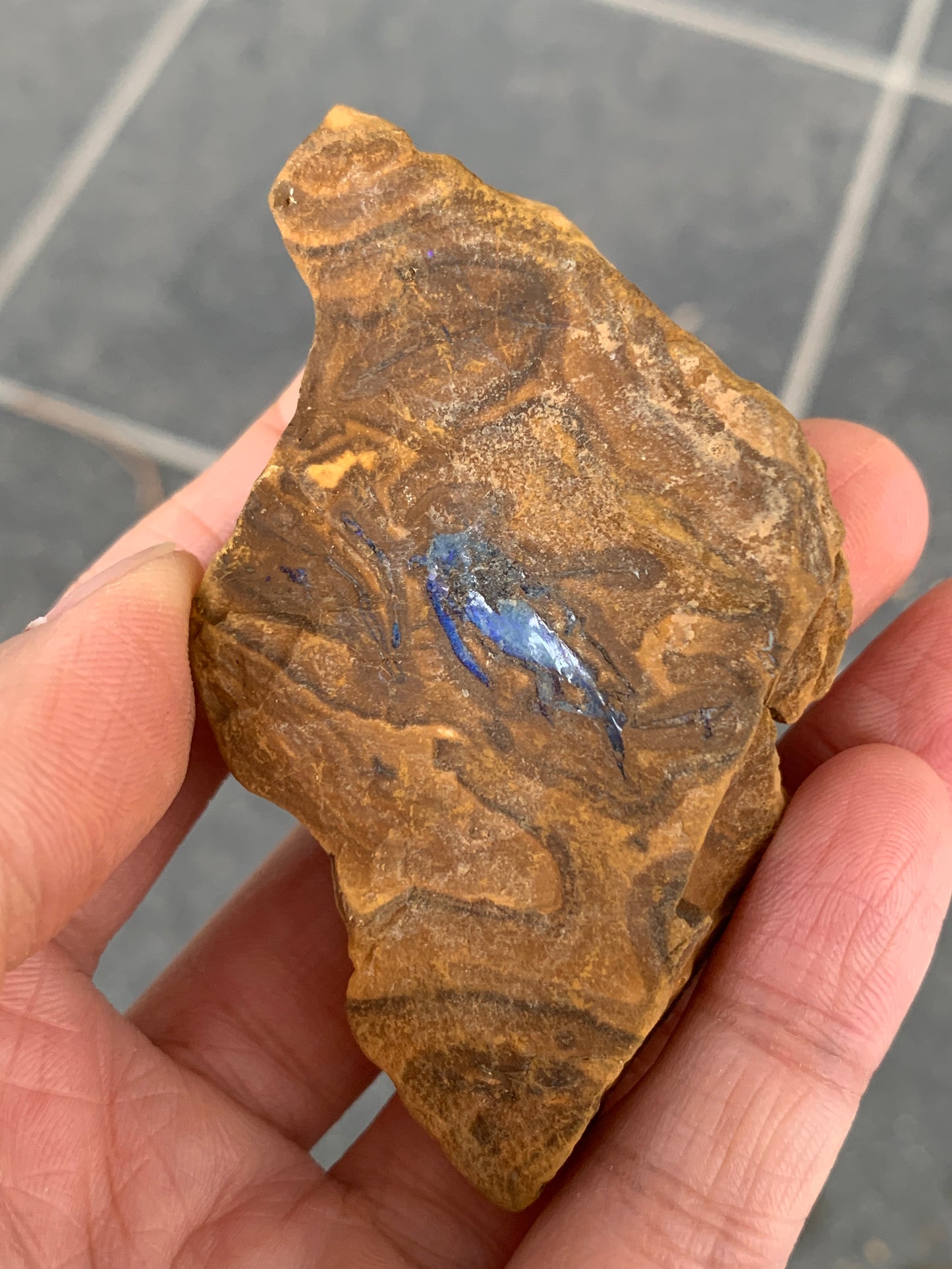 Take Five. Rough Boulder Opal Rocks. 357 Grams.