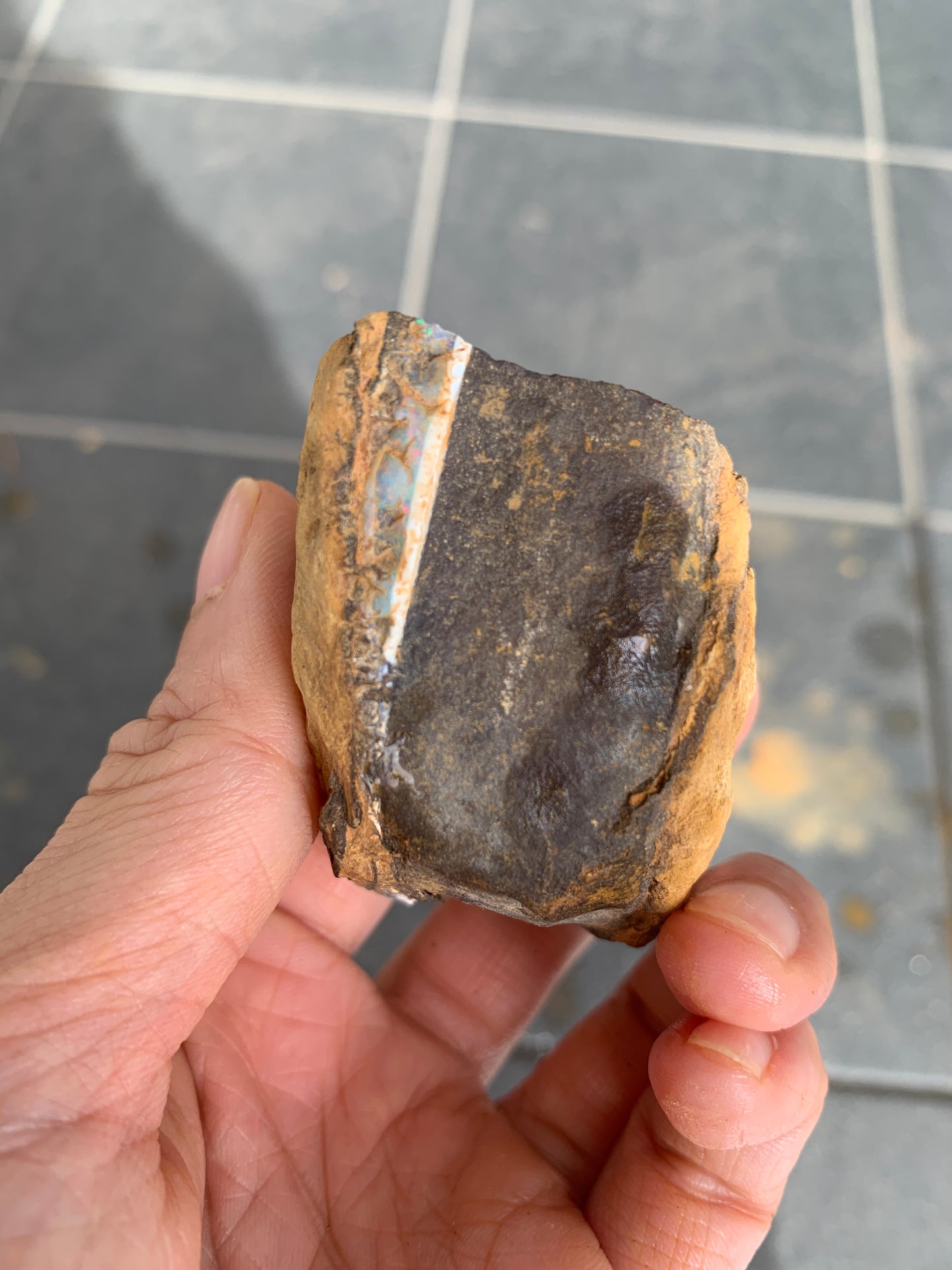 Roof Rocks. Rough Boulder Opal Set of Two. 259 Grams.