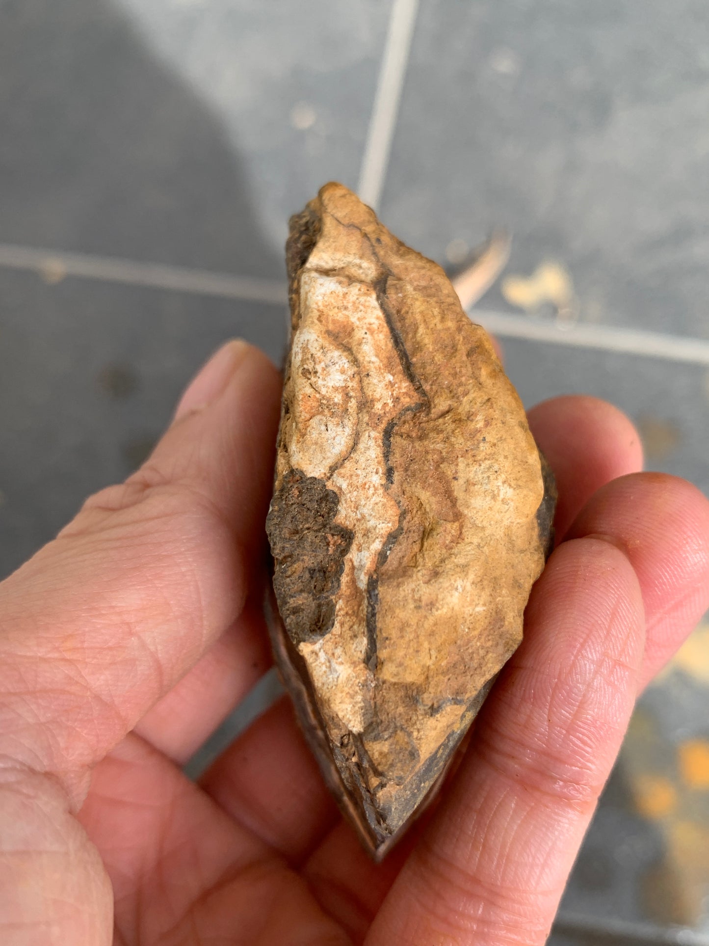 Roof Rocks. Rough Boulder Opal Set of Two. 259 Grams.