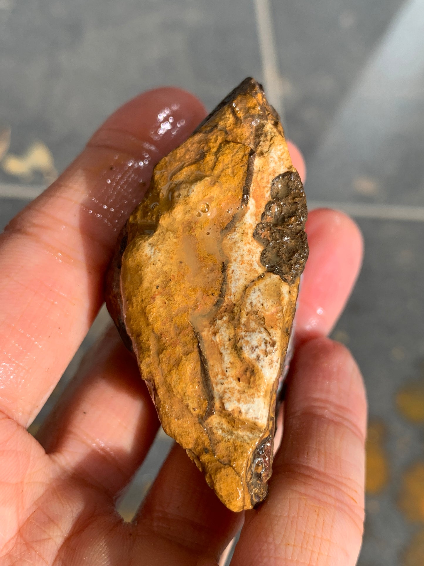 Roof Rocks. Rough Boulder Opal Set of Two. 259 Grams.