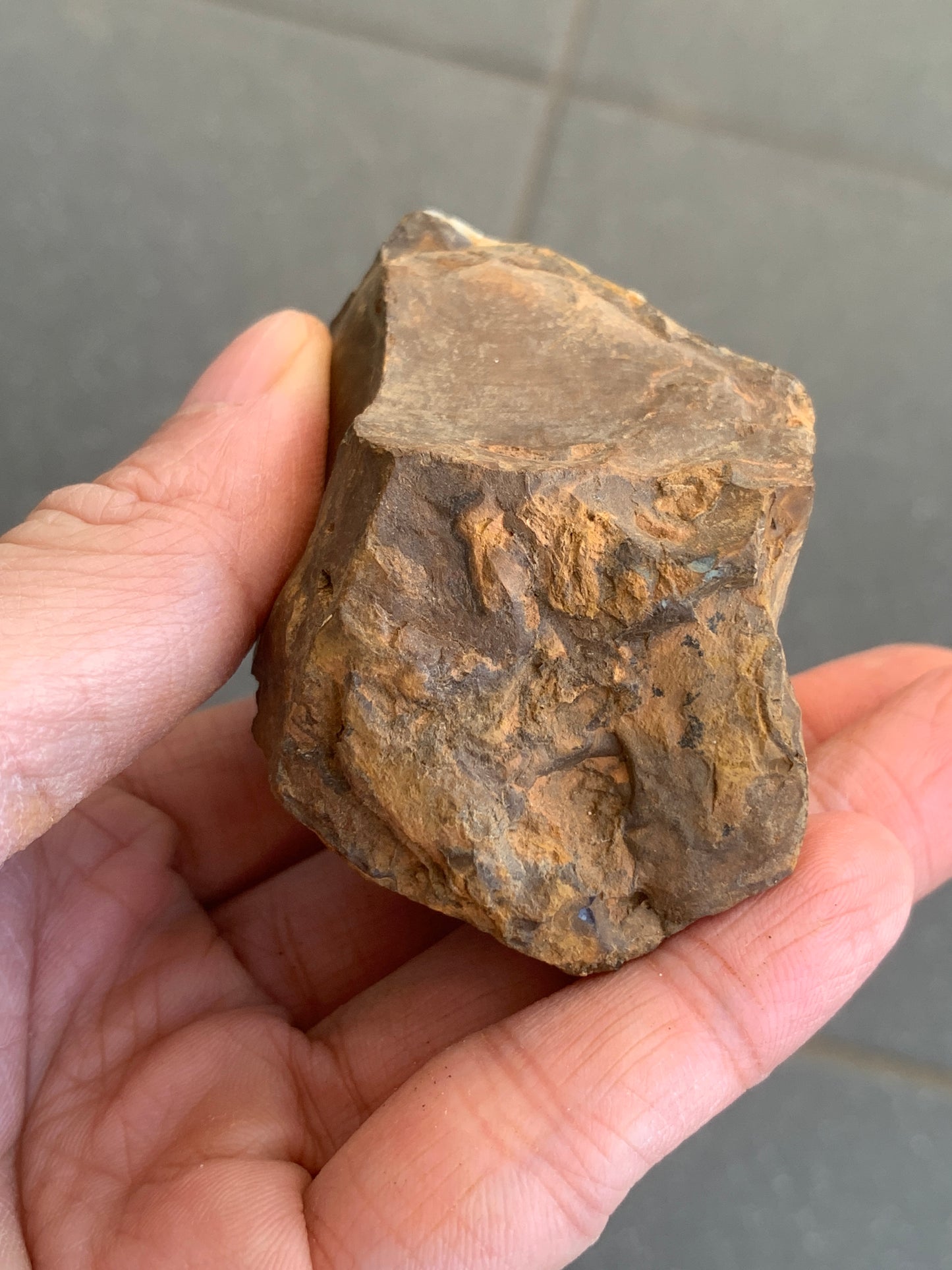 Great Starter Rock. Rough Boulder Opal. 144 Grams
