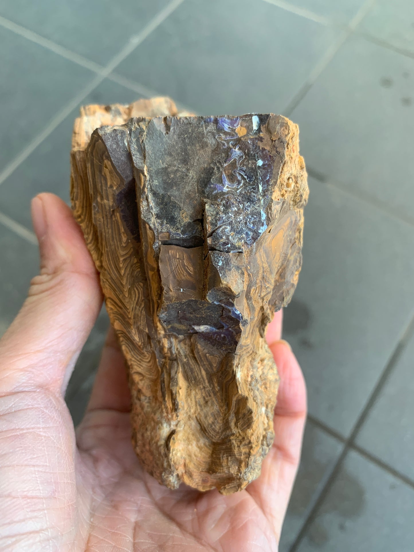 Rugged Starter Rock. Rough Boulder Opal. 506 Grams
