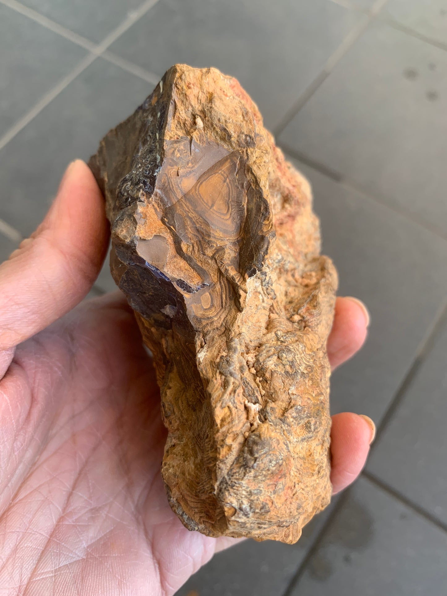 Rugged Starter Rock. Rough Boulder Opal. 506 Grams