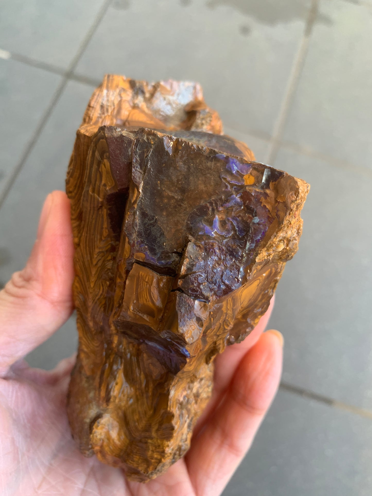 Rugged Starter Rock. Rough Boulder Opal. 506 Grams