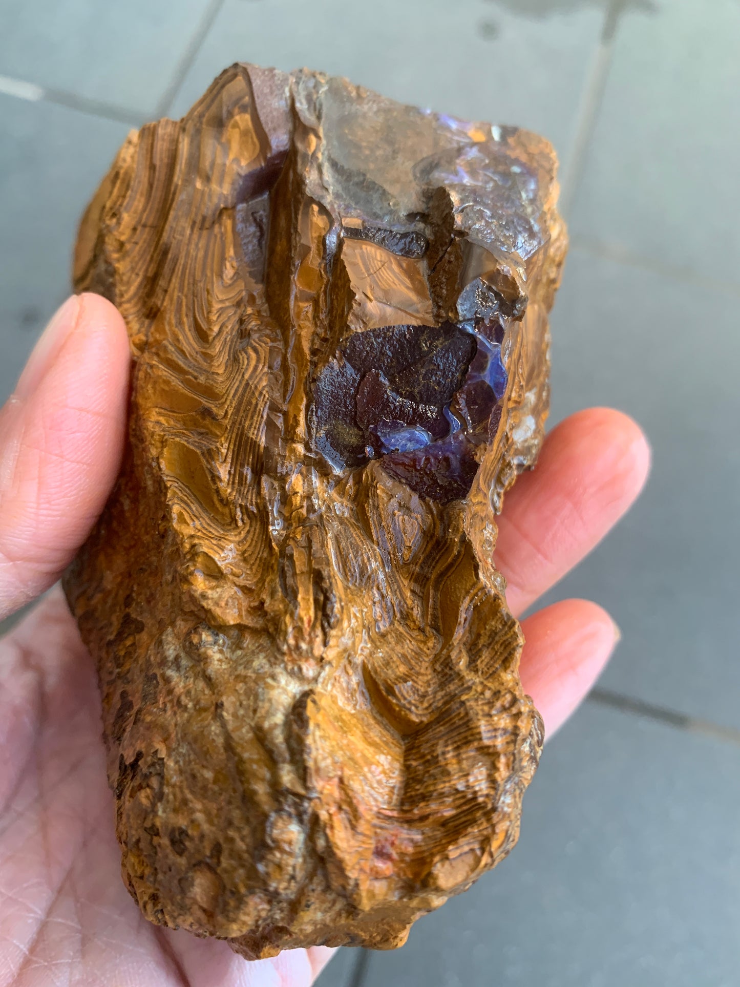 Rugged Starter Rock. Rough Boulder Opal. 506 Grams