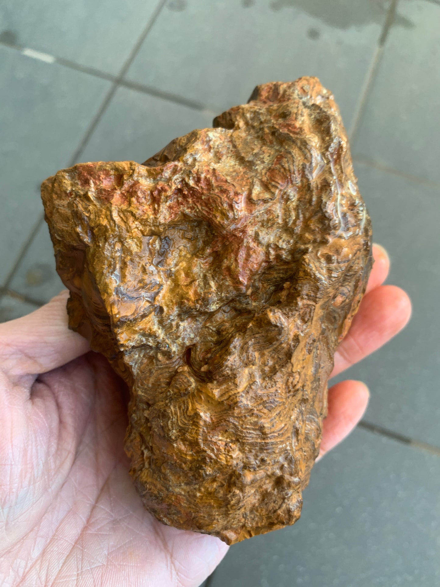 Rugged Starter Rock. Rough Boulder Opal. 506 Grams