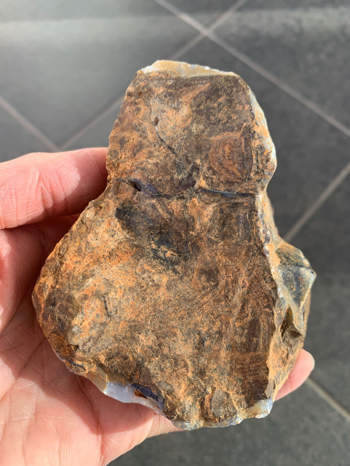 Starter Rock. Rough Boulder Opal Rock. 463 Grams.