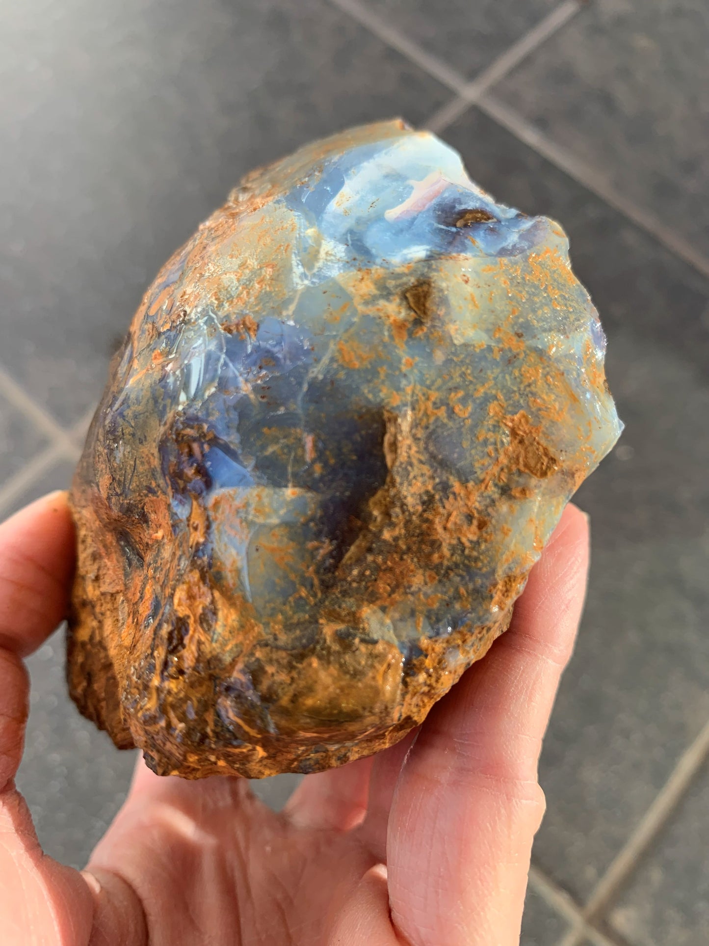 Starter Rock. Rough Boulder Opal Rock. 463 Grams.