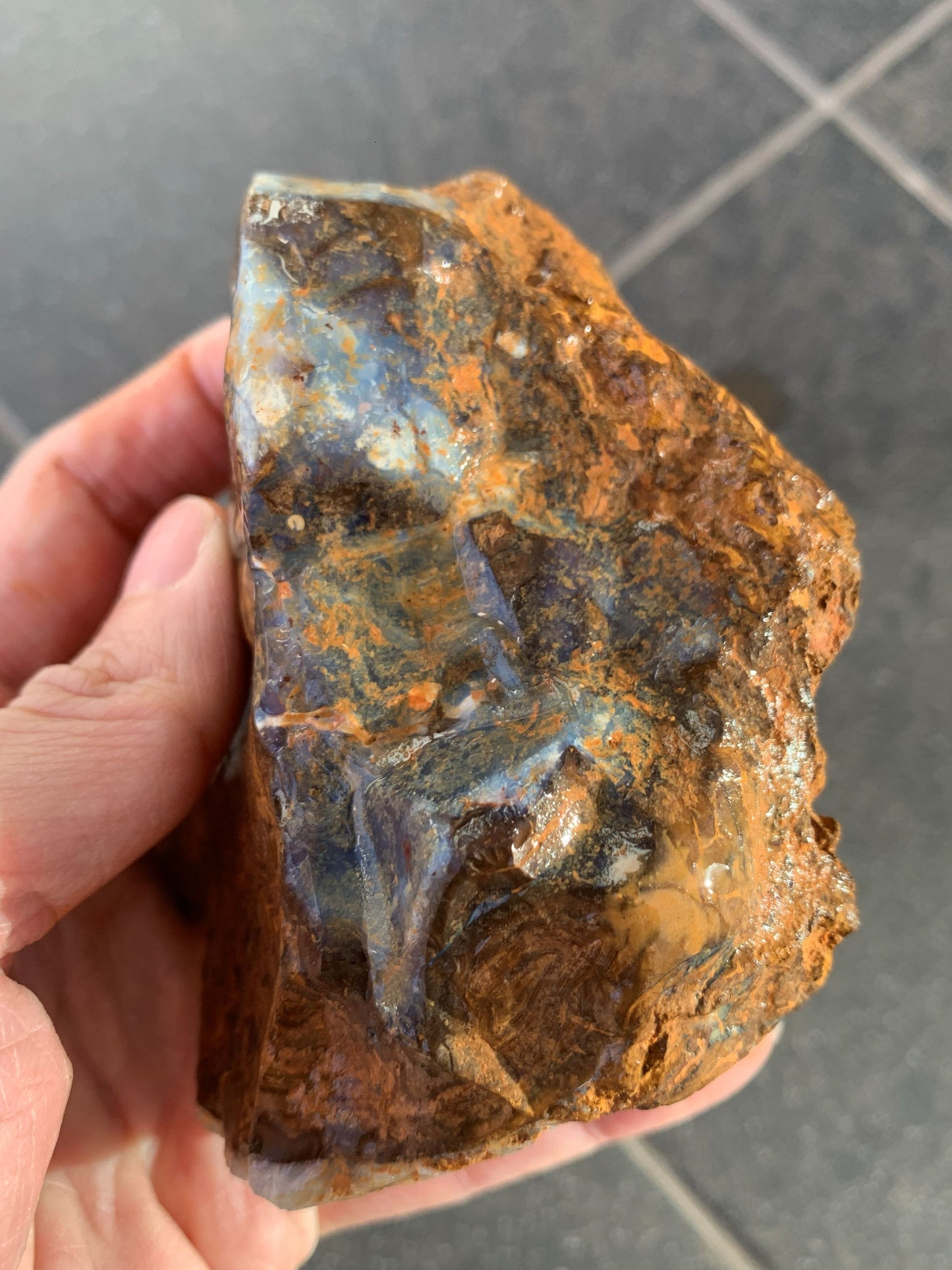 Starter Rock. Rough Boulder Opal Rock. 463 Grams.