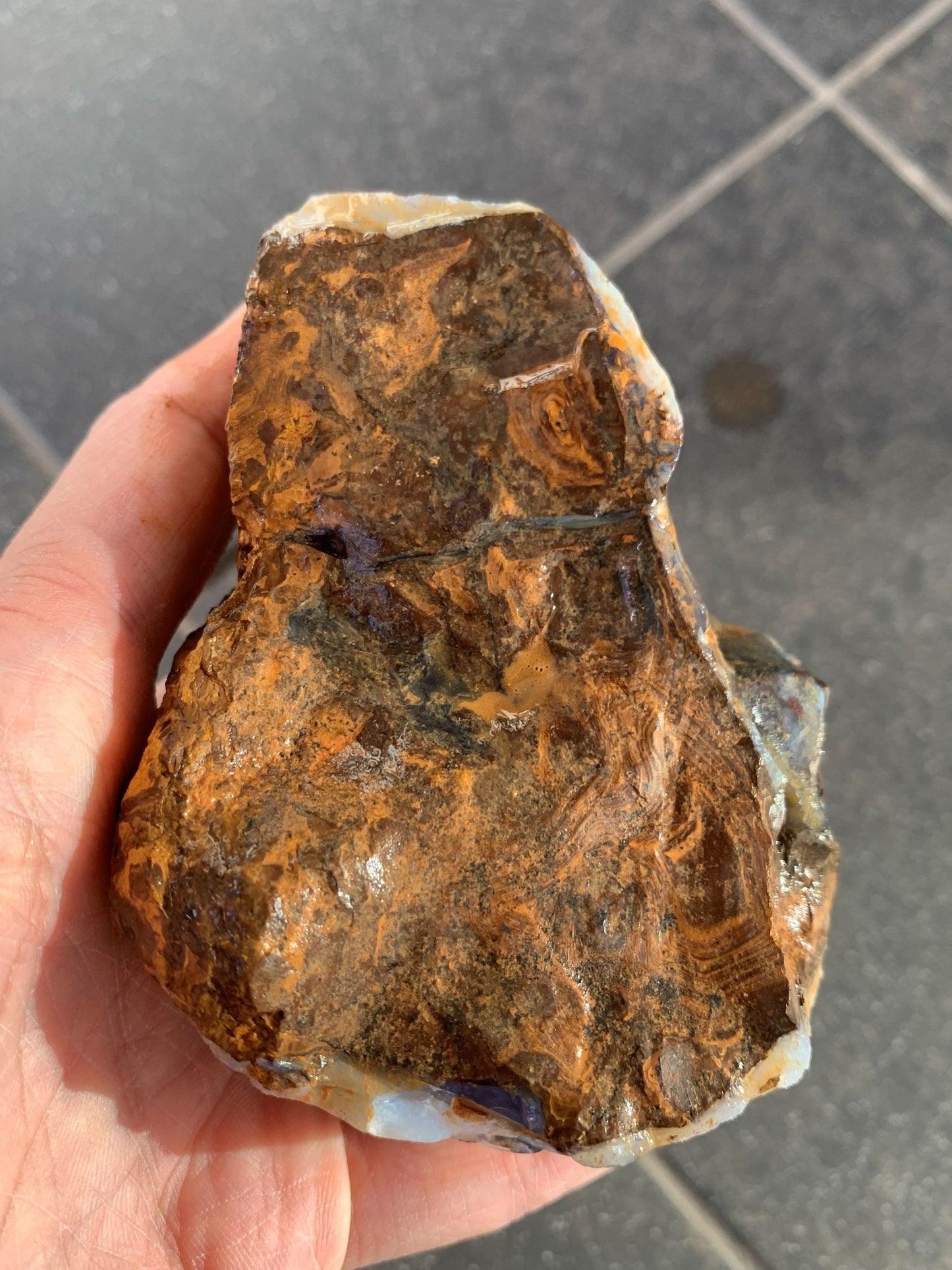 Starter Rock. Rough Boulder Opal Rock. 463 Grams.