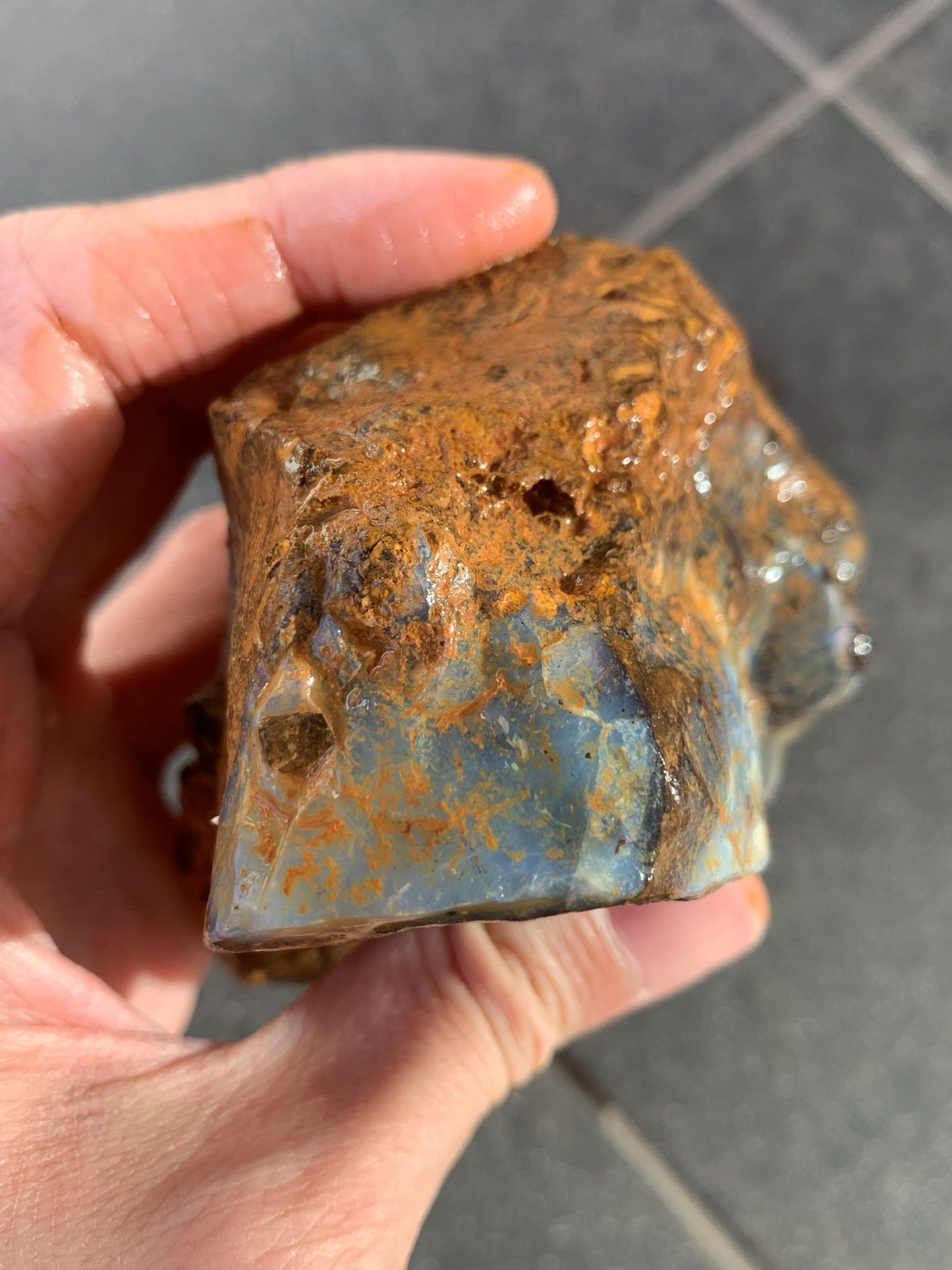 Starter Rock. Rough Boulder Opal Rock. 463 Grams.