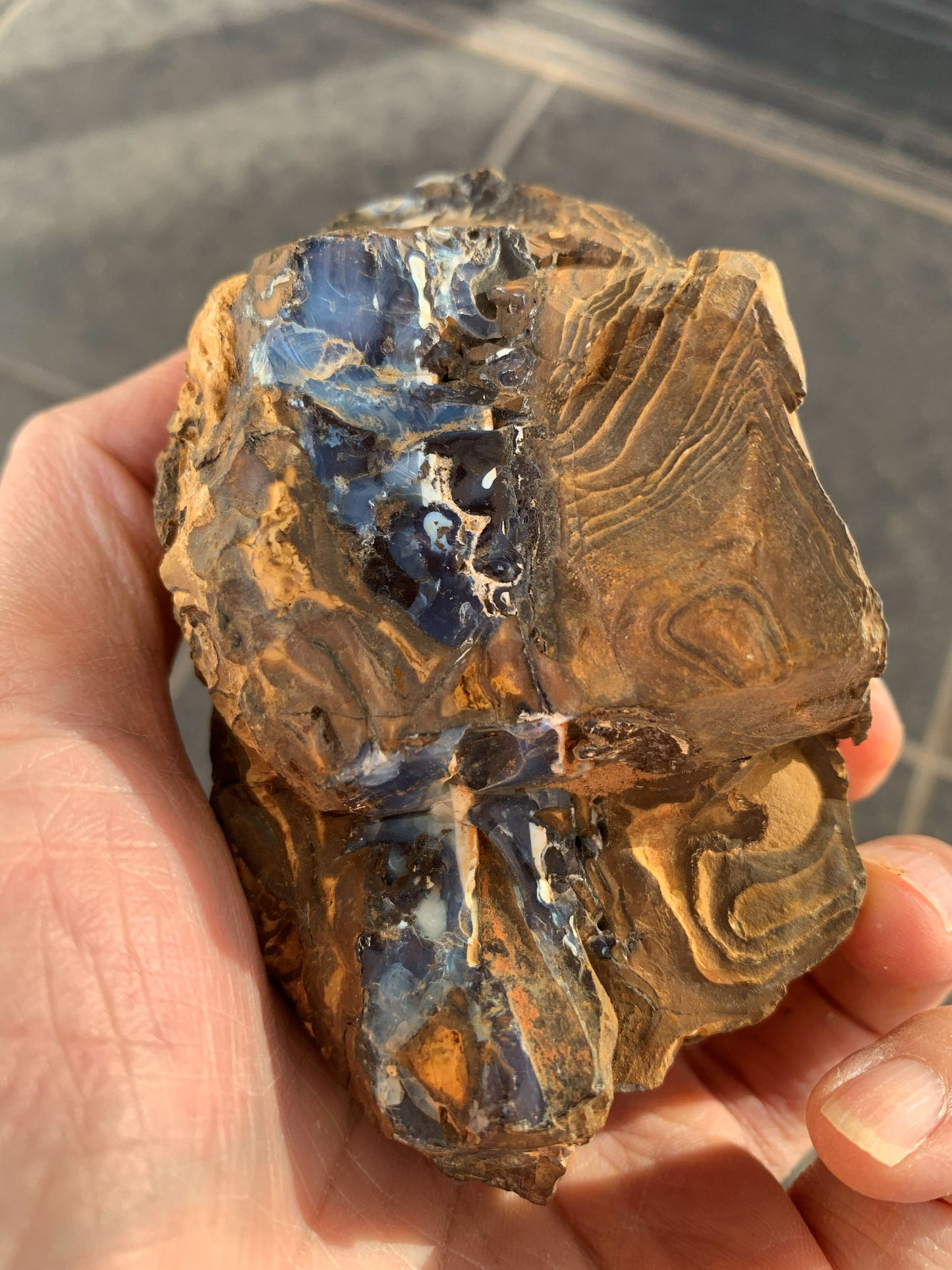 Wild Wonder. Rough Boulder Opal Rock. 448 Grams