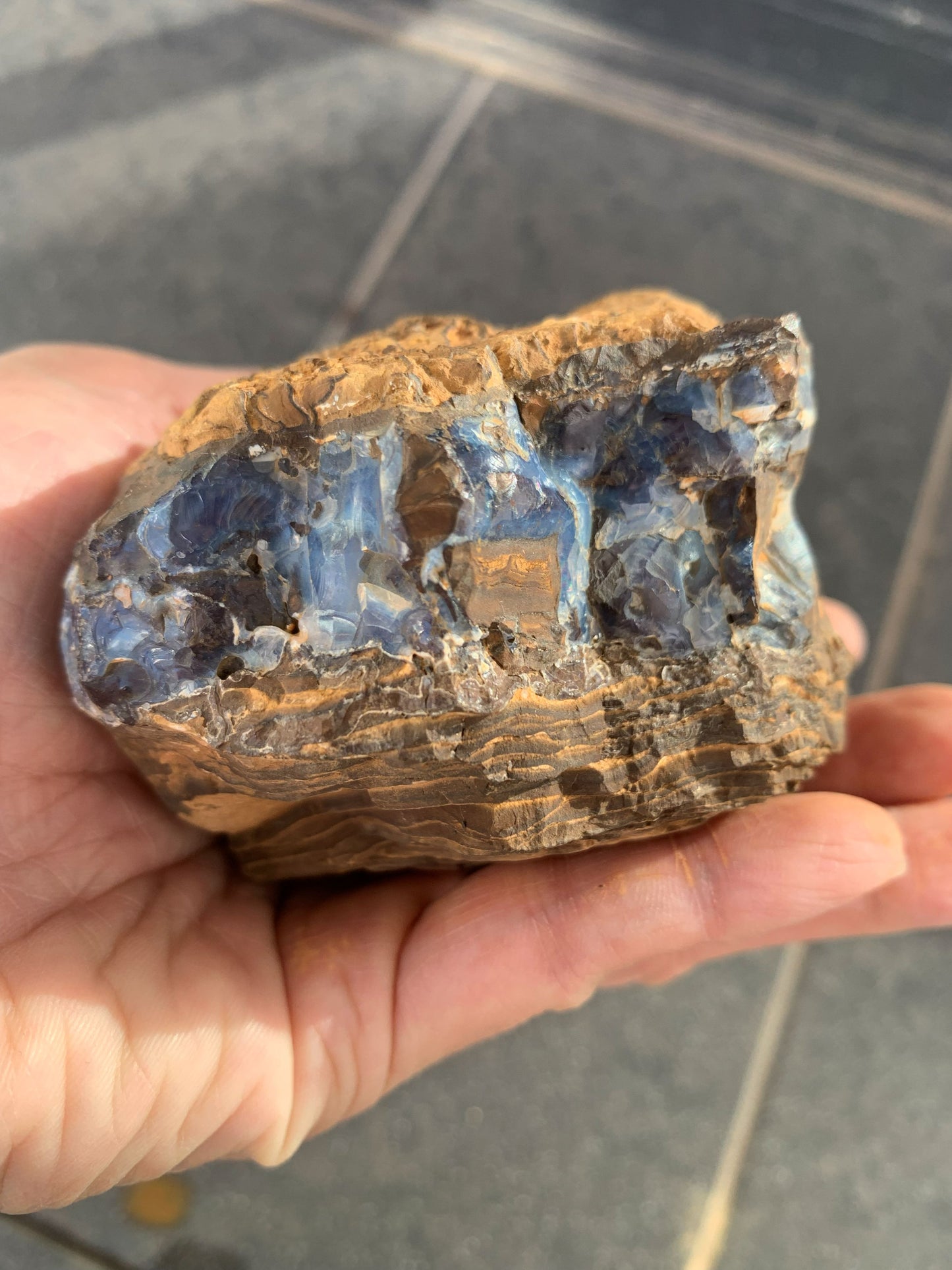 Wild Wonder. Rough Boulder Opal Rock. 448 Grams
