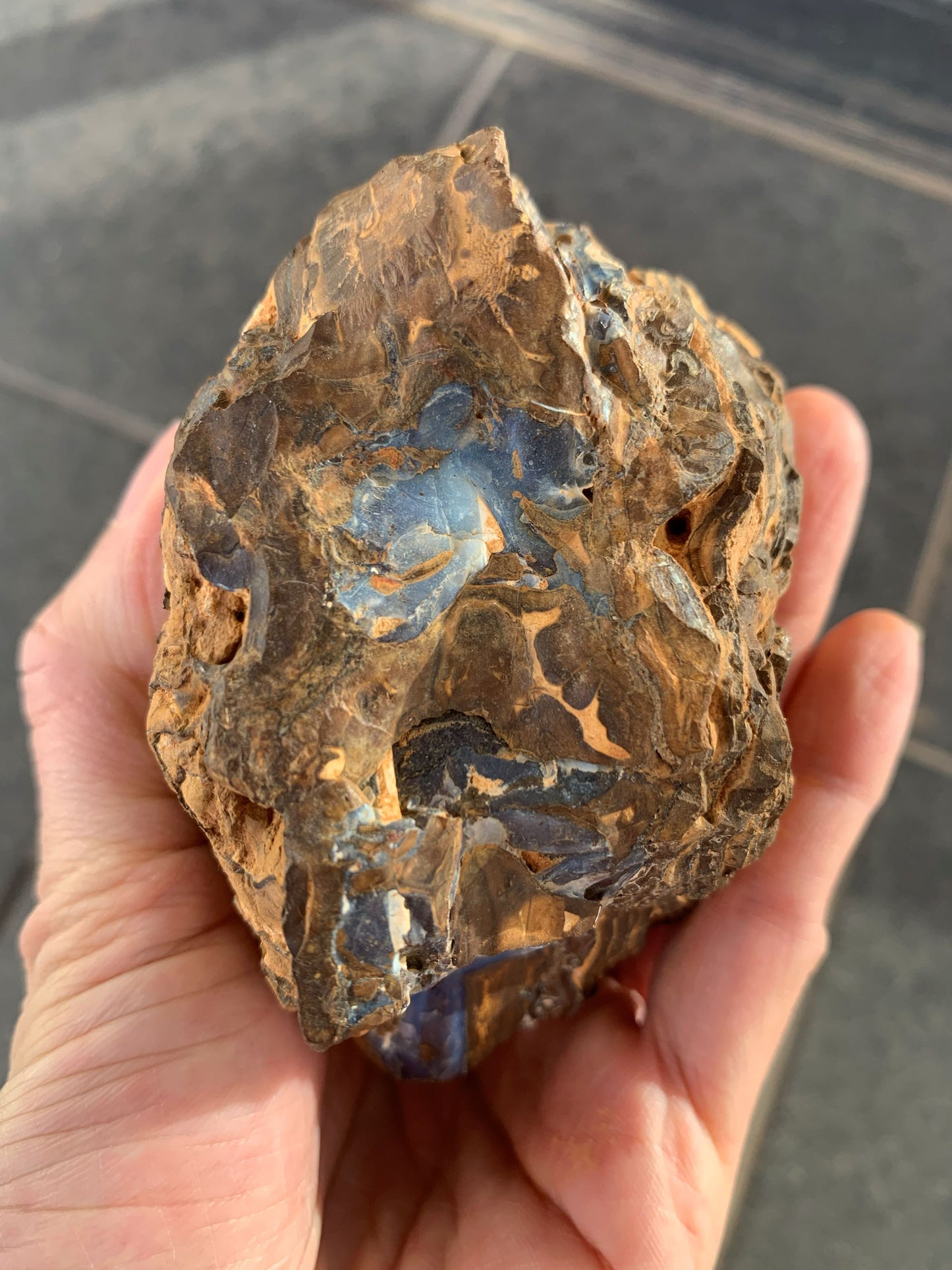Wild Wonder. Rough Boulder Opal Rock. 448 Grams