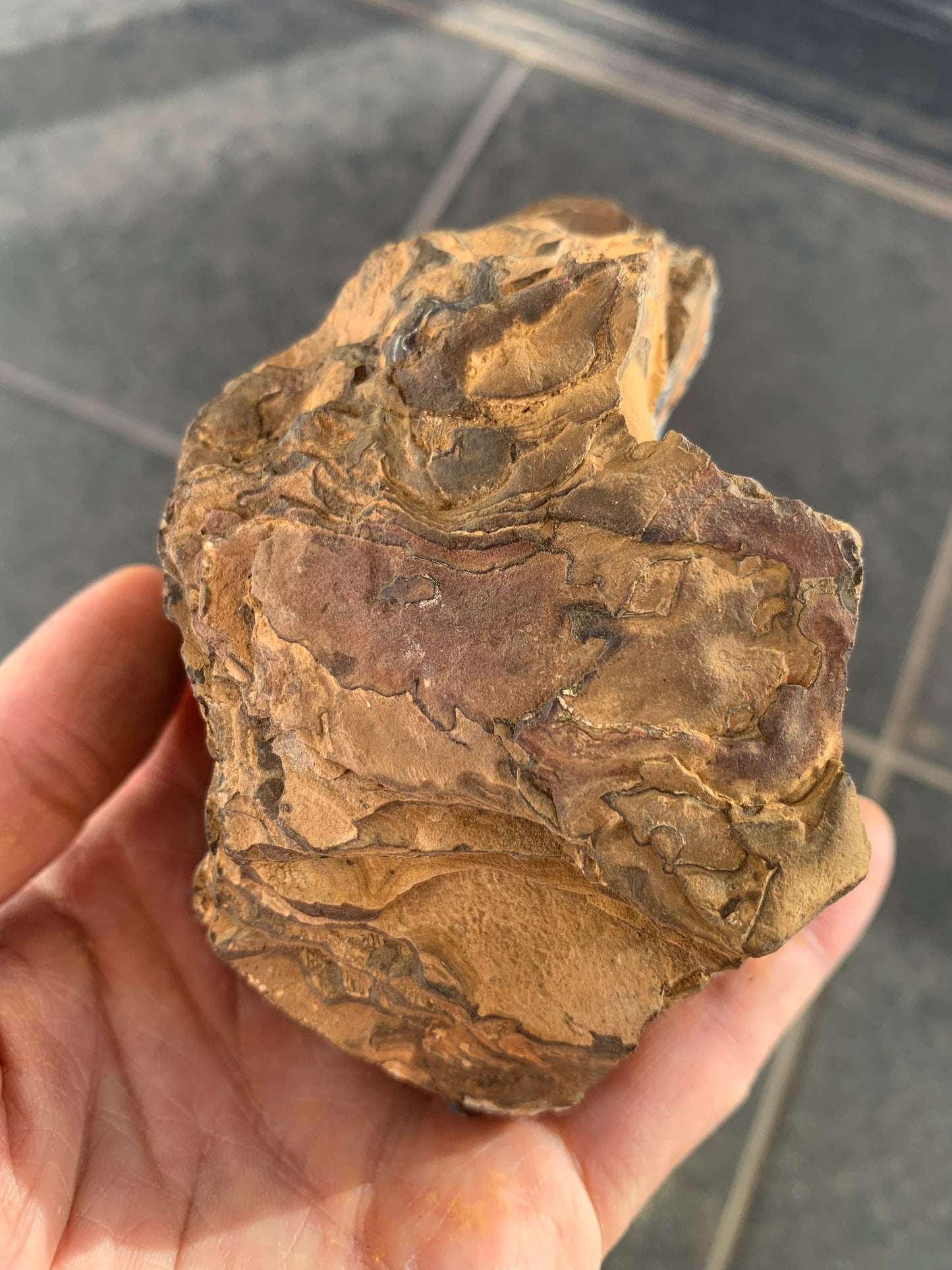 Wild Wonder. Rough Boulder Opal Rock. 448 Grams